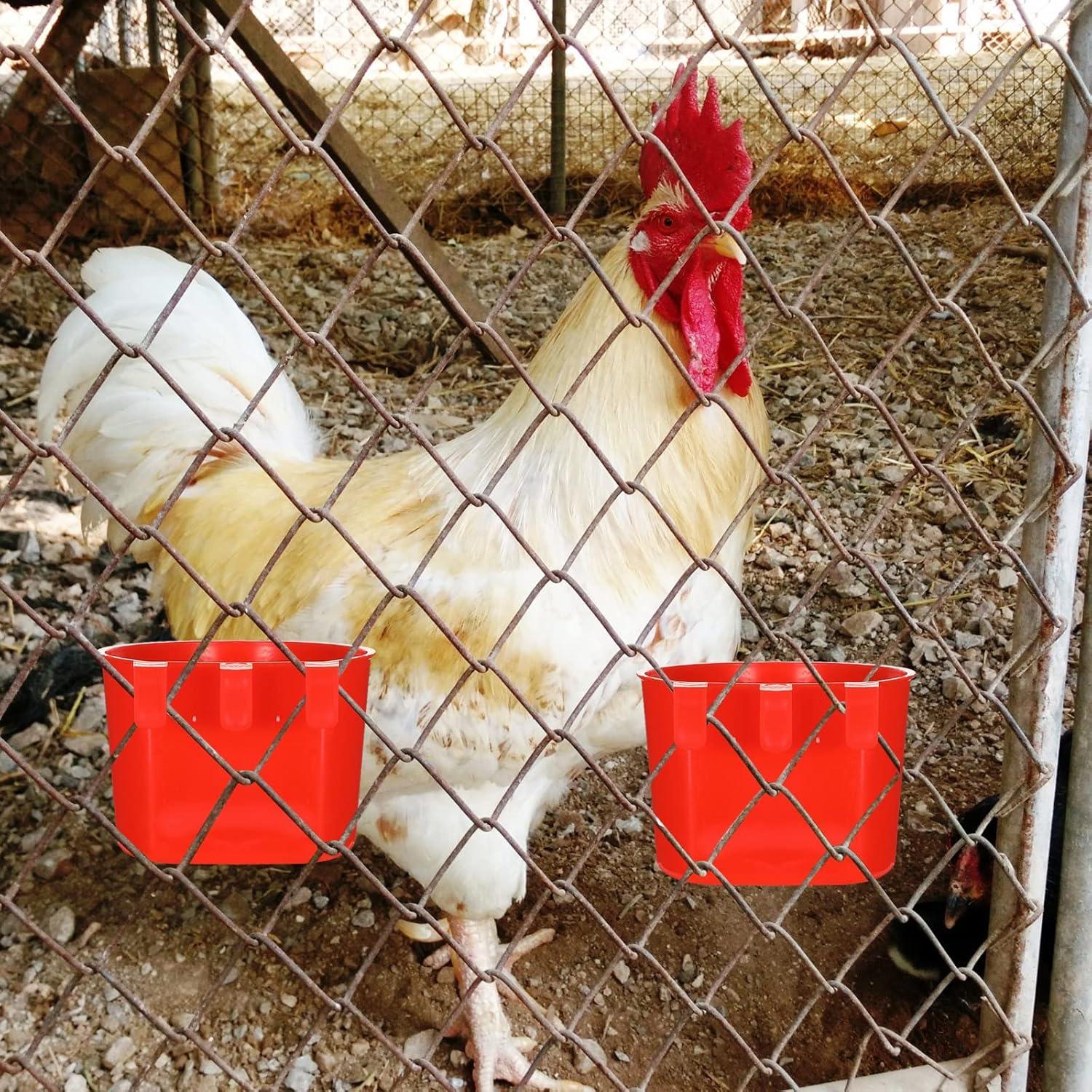 30 Tazones de Alimentación para Aves Suclain 8.3 cm Rojo