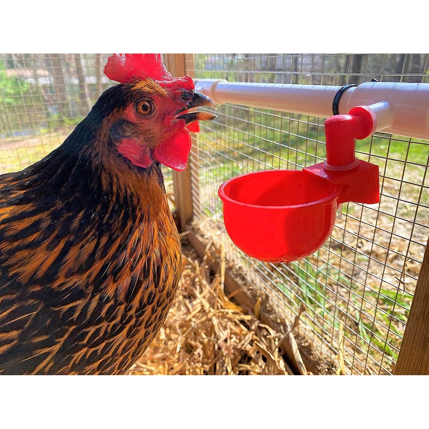 Sistema Automático de Agua para Pollos letsFix - Kit Completo PVC