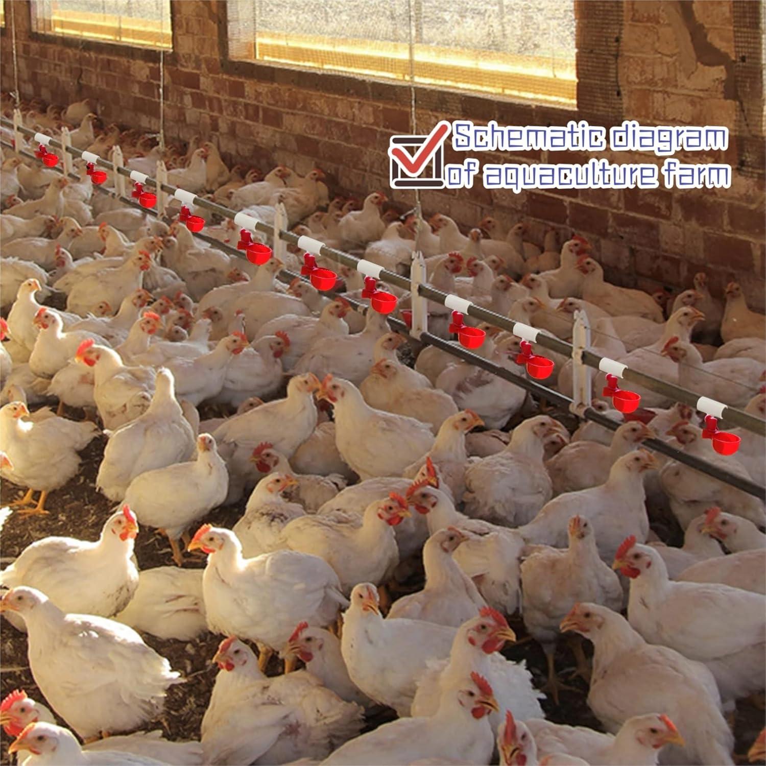 Paquete de 8 Tazas Automáticas para Beber Agua de Pollos AQWXC