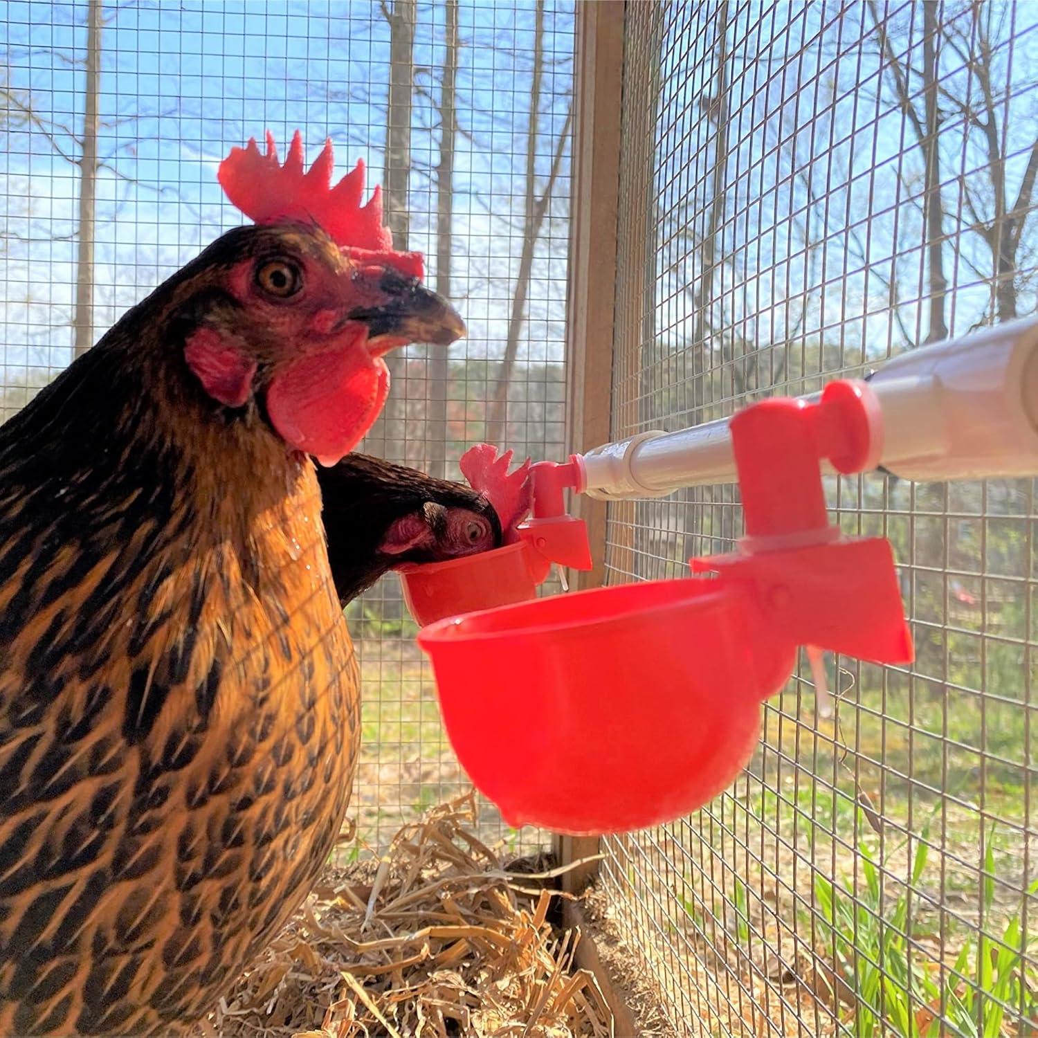 Paquete de 8 Tazas Automáticas para Beber Agua de Pollos AQWXC