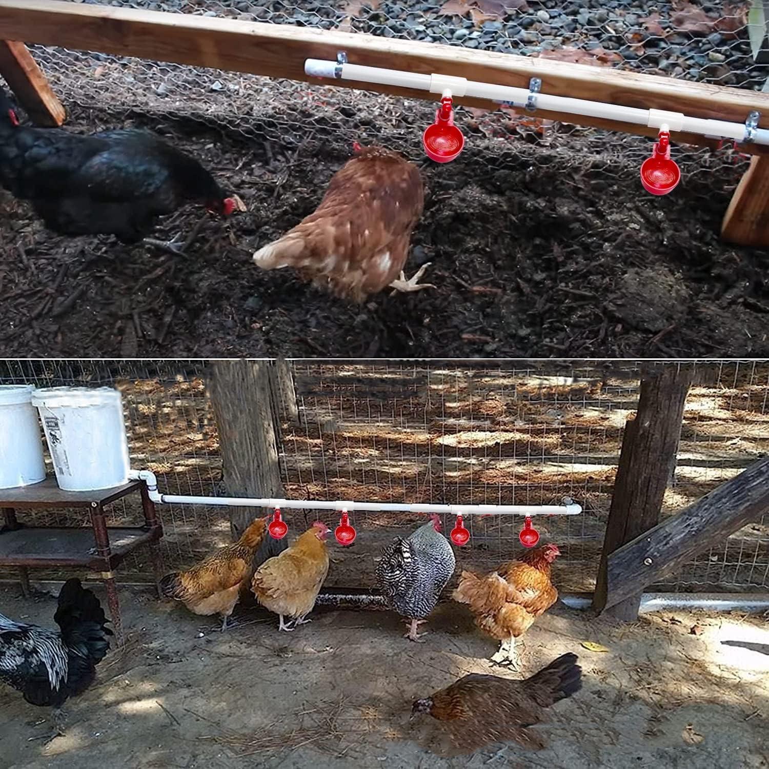 Paquete de 8 Tazas Automáticas para Beber Agua de Pollos AQWXC