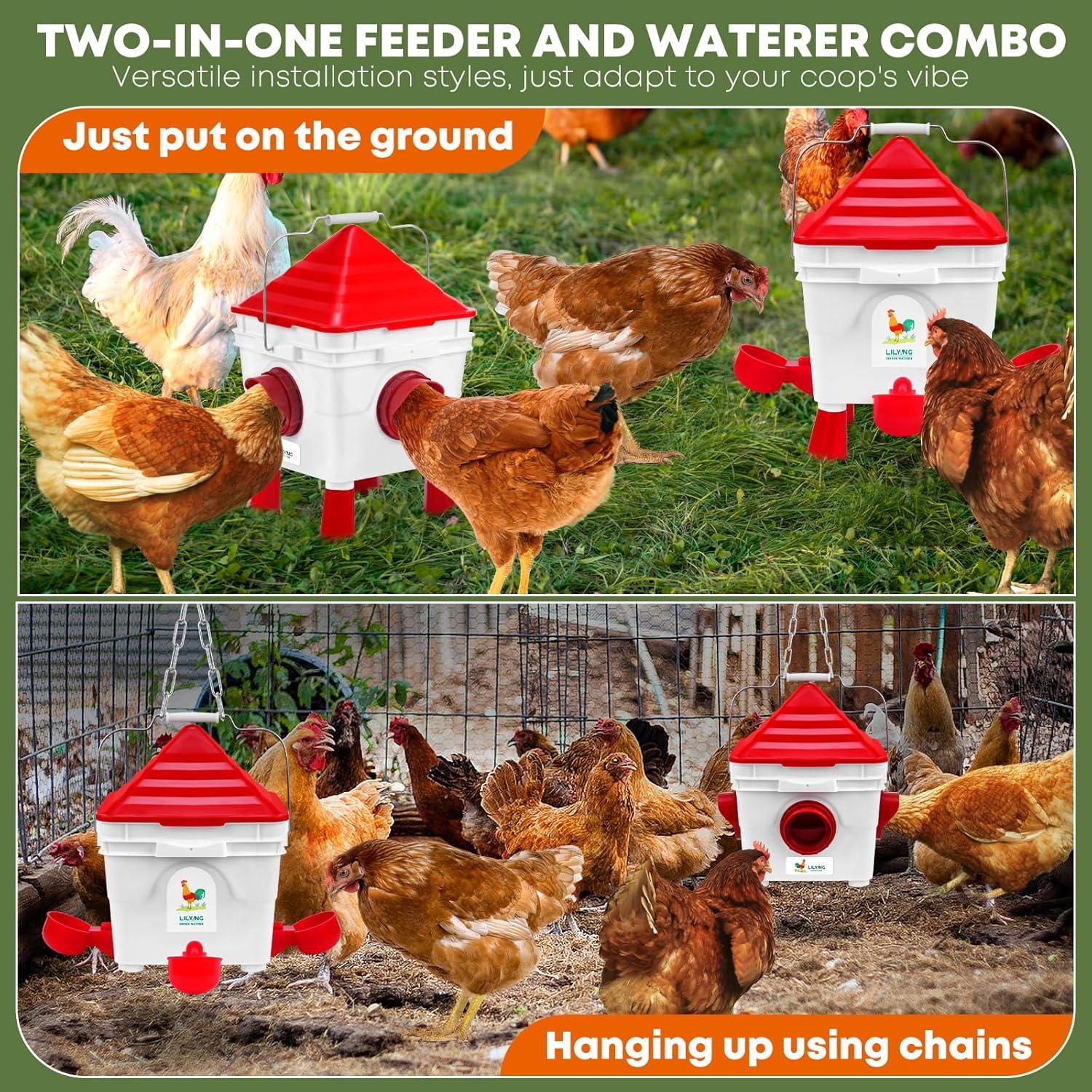 Alimentador y bebedero automático para pollos Lilyang 2.5 gal