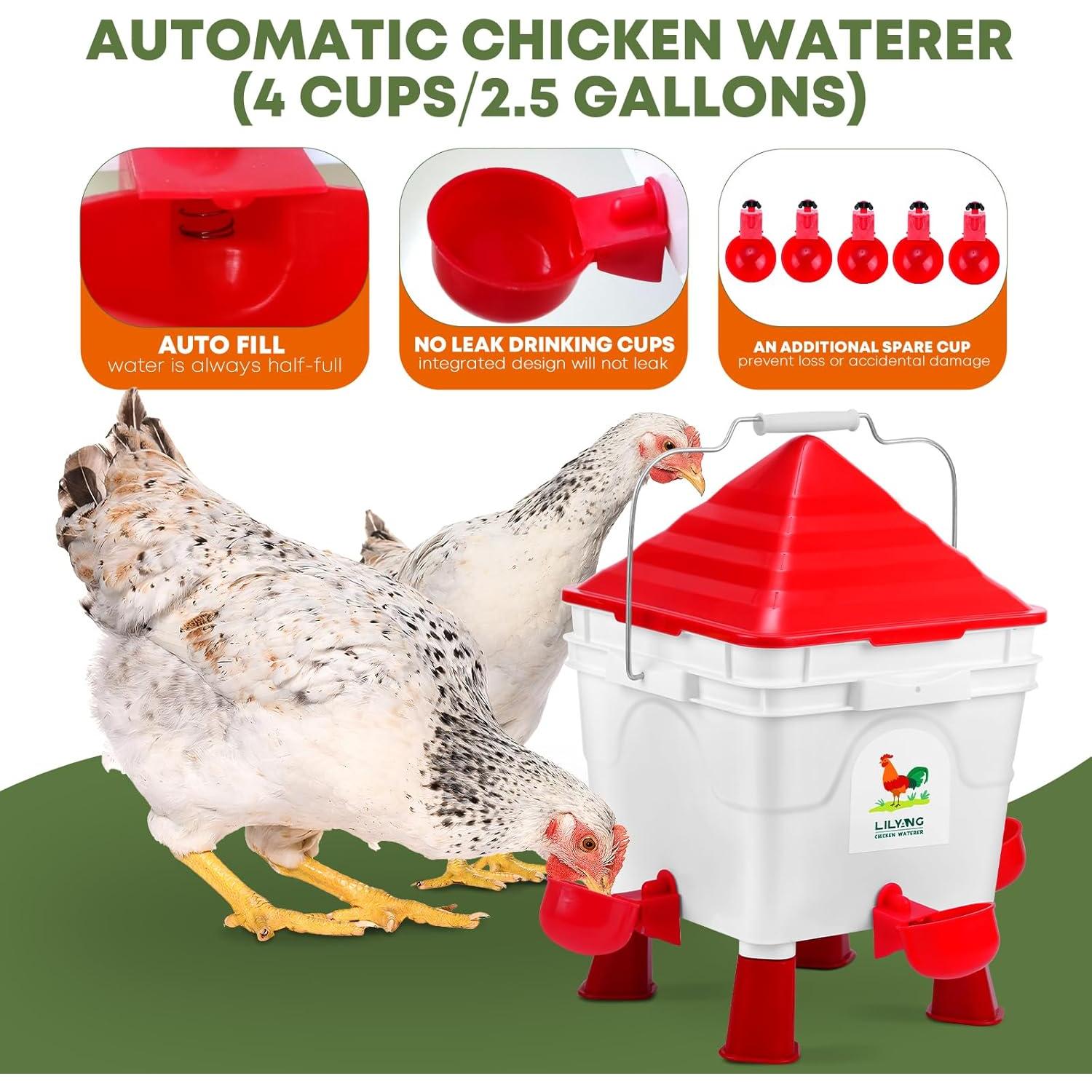 Alimentador y bebedero automático para pollos Lilyang 2.5 gal