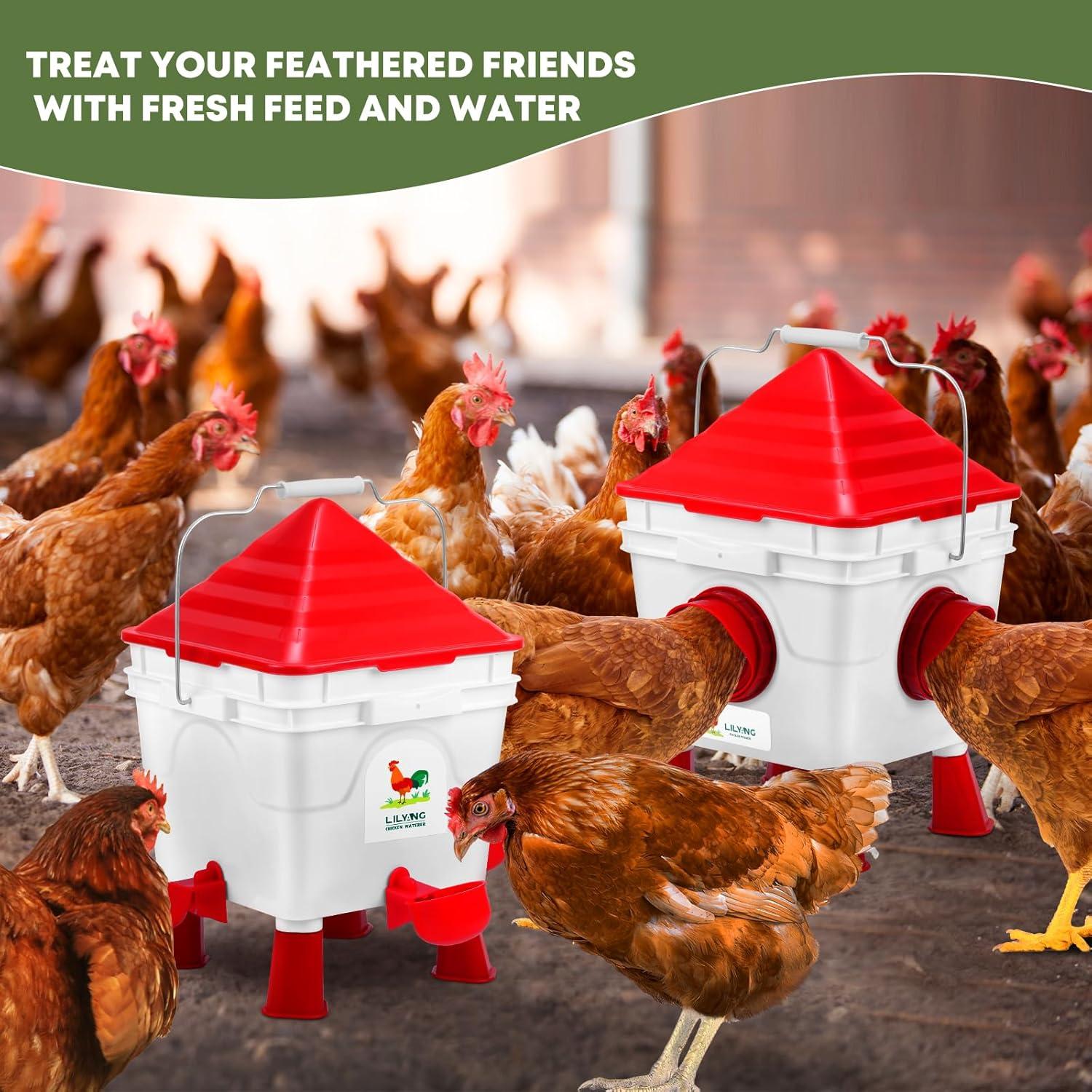 Alimentador y bebedero automático para pollos Lilyang 2.5 gal