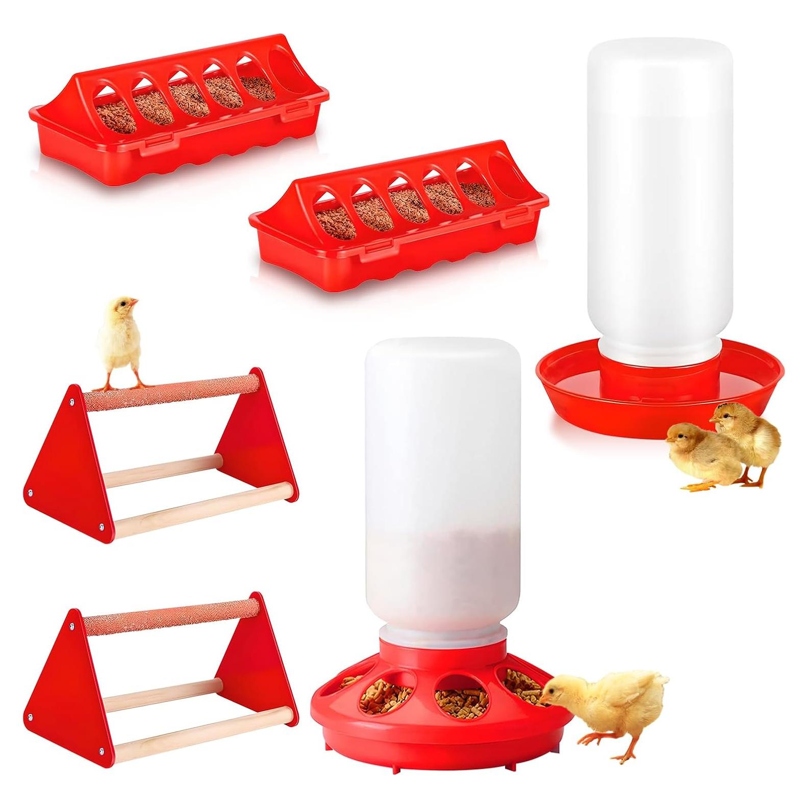 Kit de Inicio para Pollitos VibeHaven - 6 Piezas, Alimentador y Bebedero