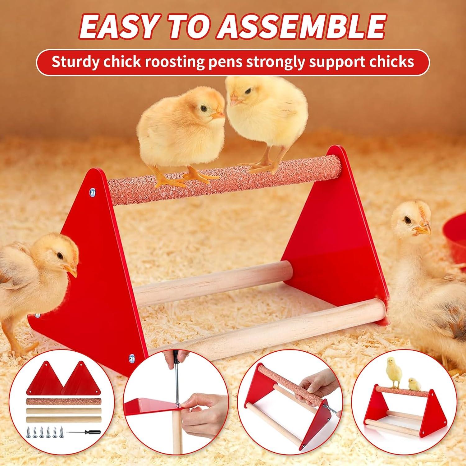 Kit de Inicio para Pollitos VibeHaven - 6 Piezas, Alimentador y Bebedero