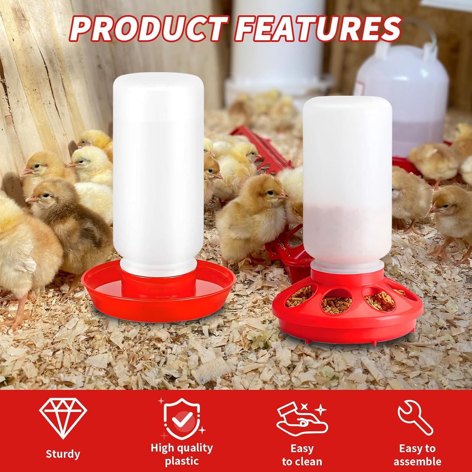 Kit de Inicio para Pollitos VibeHaven - 6 Piezas, Alimentador y Bebedero