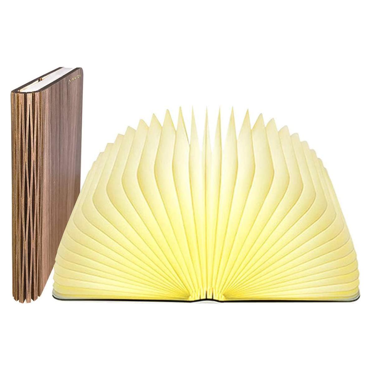 Lámpara de Libro Plegable Anwick LED Recargable USB 240g