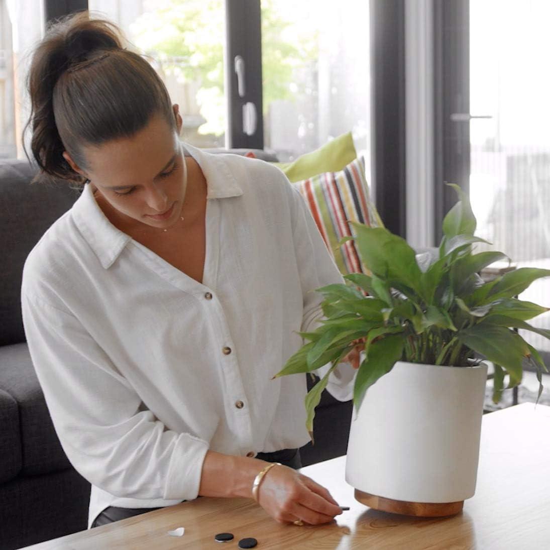 Almohadillas Antideslizantes Slipstick GorillaPads 2.54 cm - Juego de 16