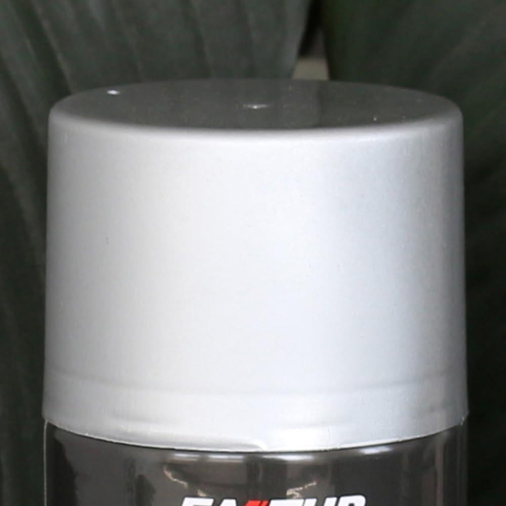 Kit de Reparación de Rayones en Ruedas EASTUP 0.3L Plata Mate