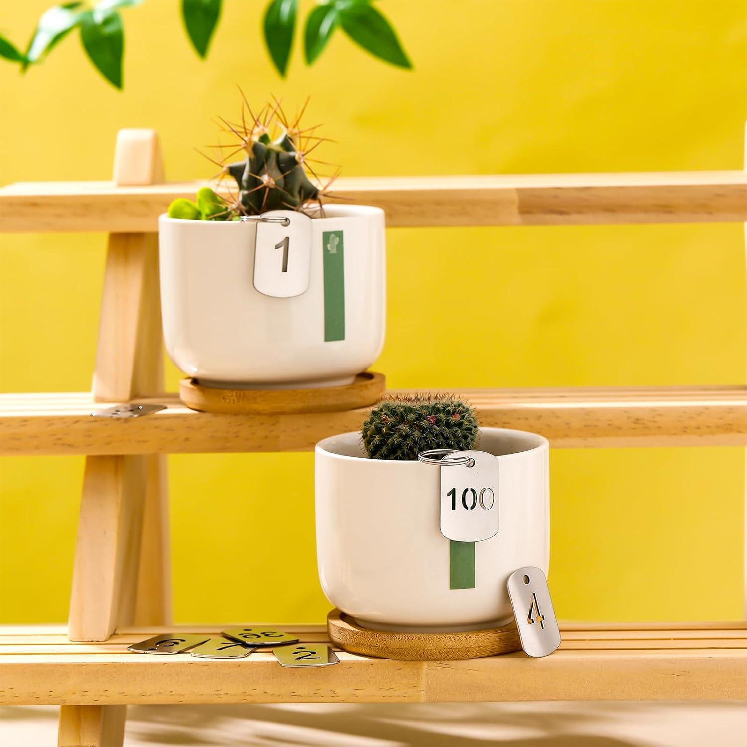 Etiquetas Metálicas Numeradas 1-100 Zonon con Anillos