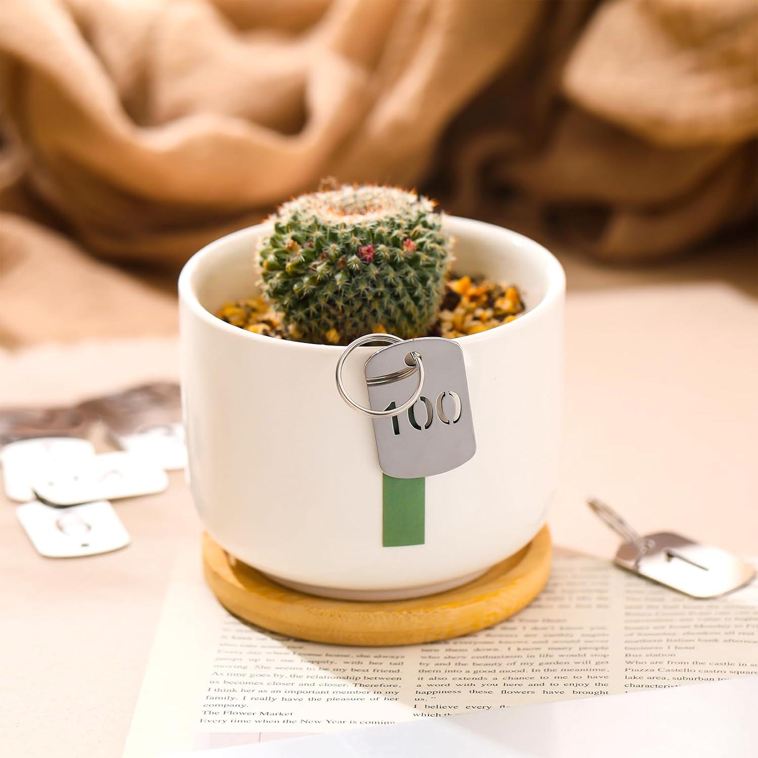 Etiquetas Metálicas Numeradas 1-100 Zonon con Anillos