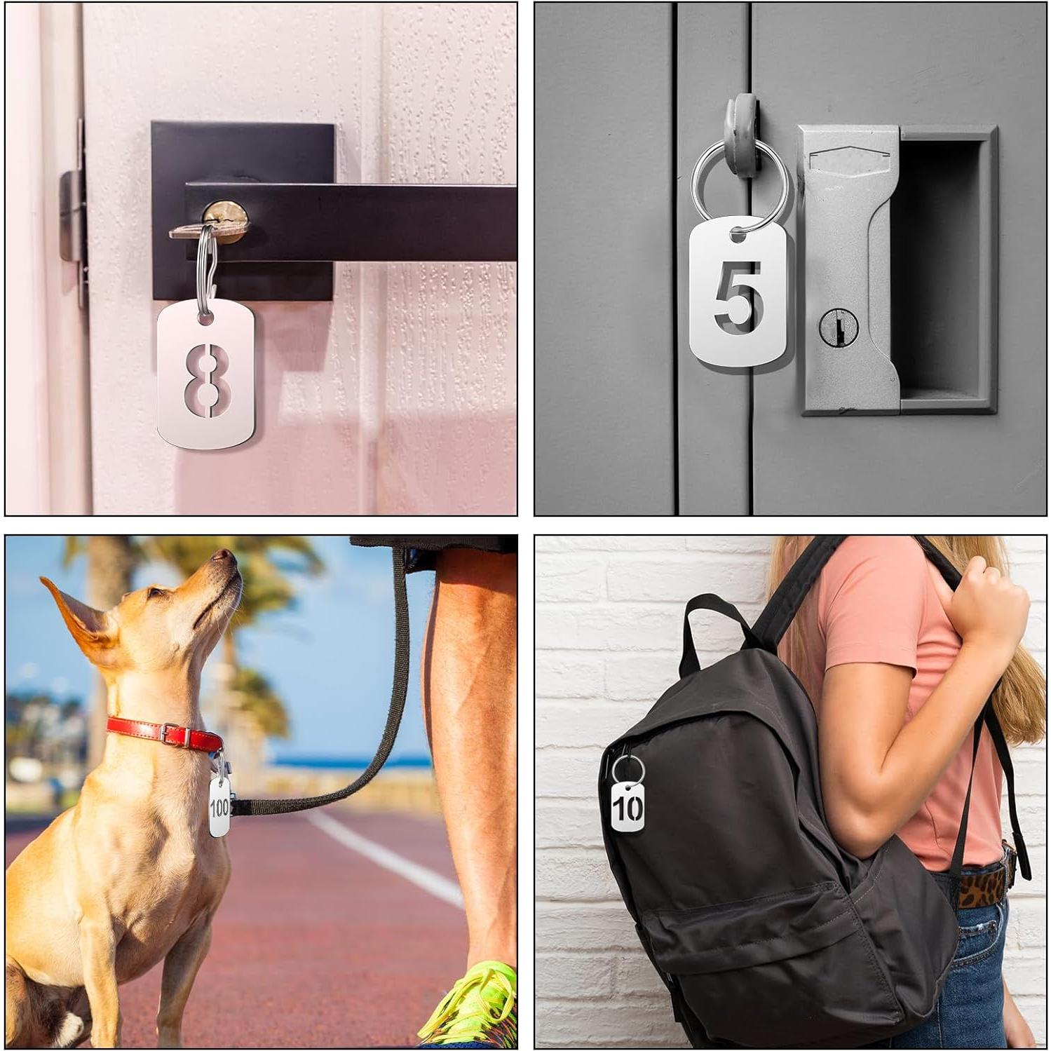 Etiquetas Metálicas Numeradas 1-100 Zonon con Anillos