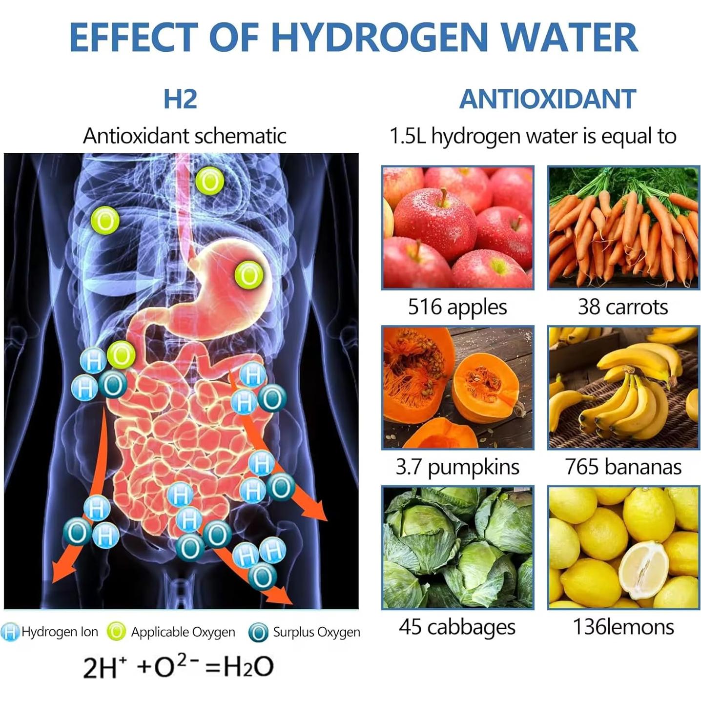 Botella de Agua de Hidrógeno AquaHealth Recargable 0.7kg