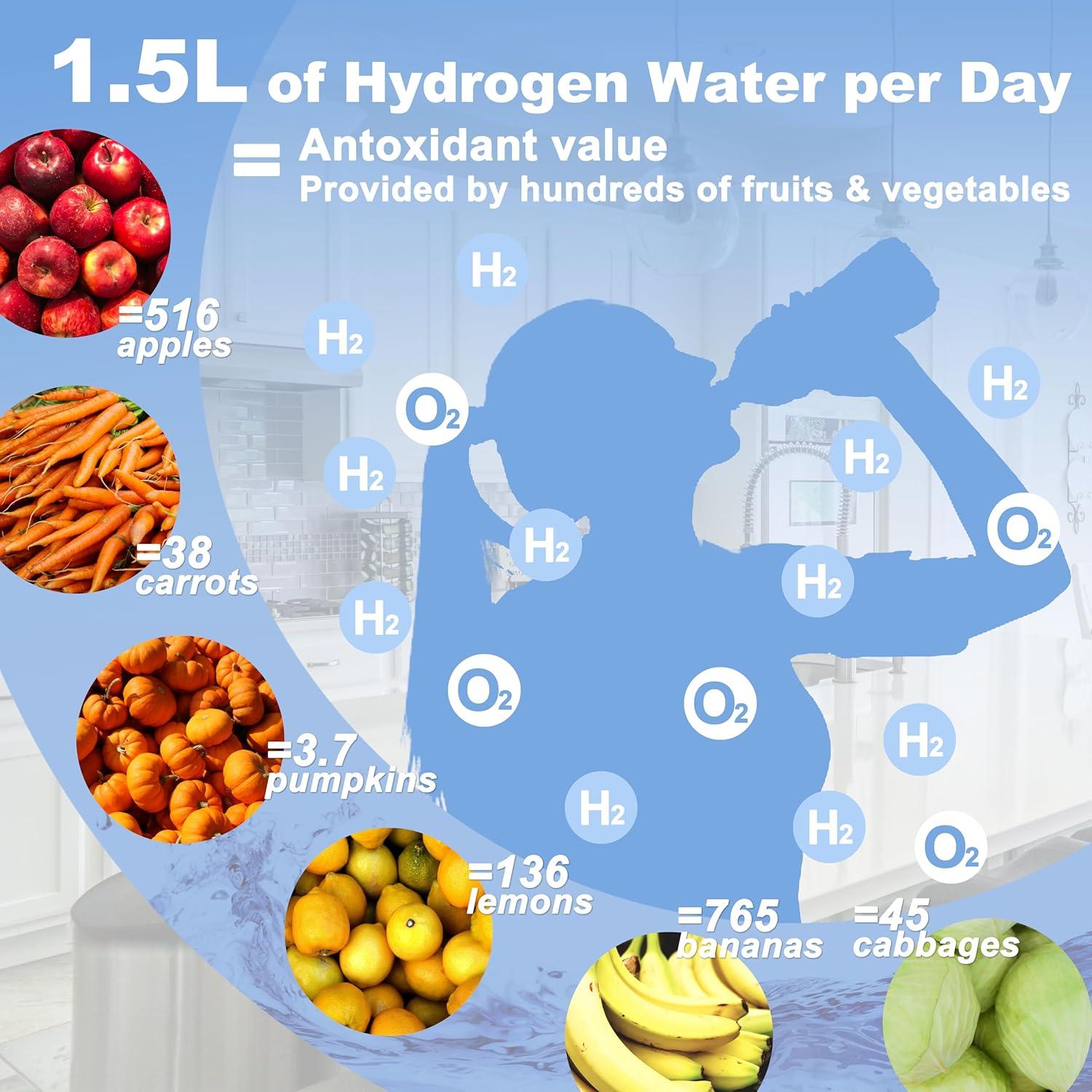 Generador de Agua de Hidrógeno Gaonmic HDUSQYB-1W Plata 10000 ppb