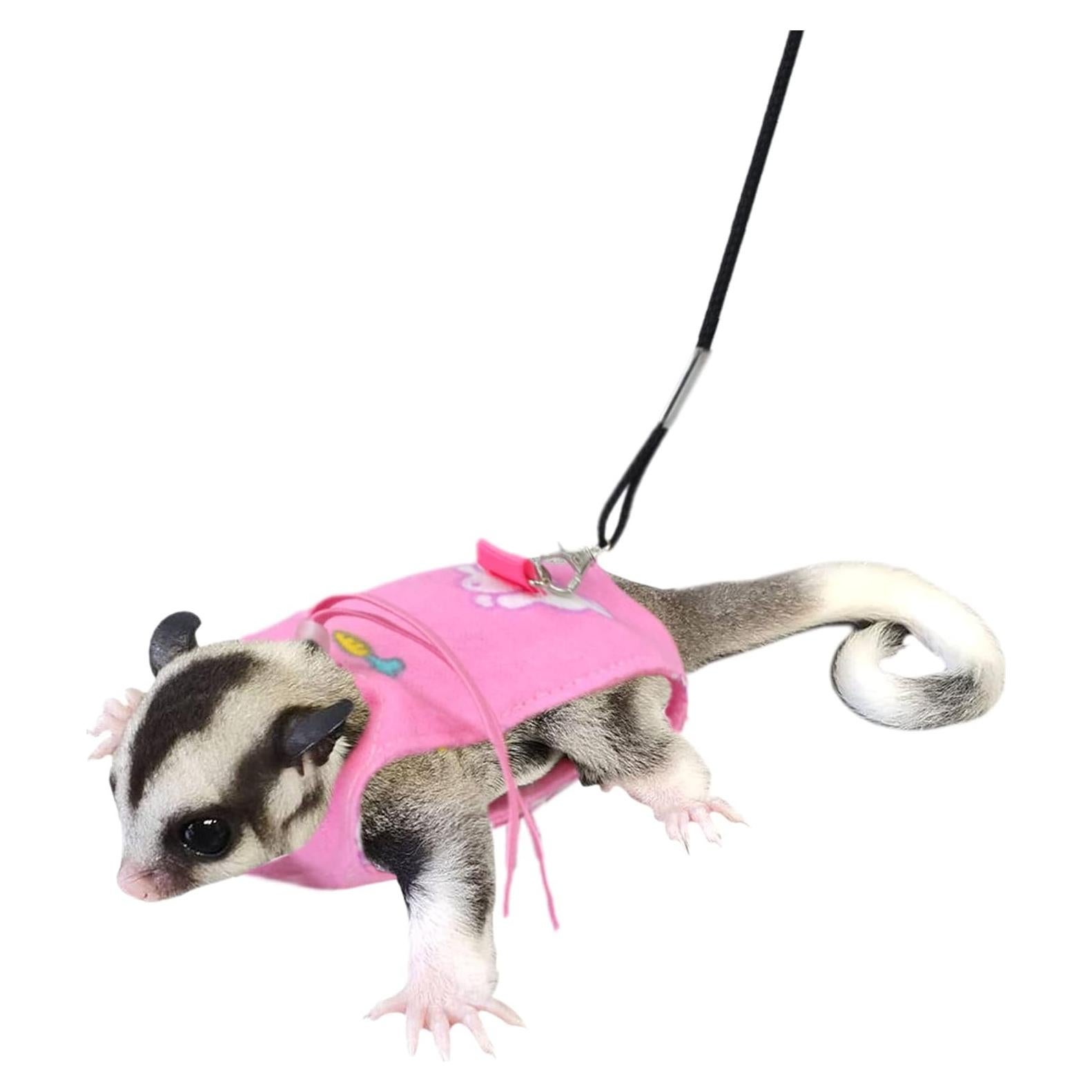 Arnés y Correa Ajustable para Sugar Glider Vomvomp 170 cm