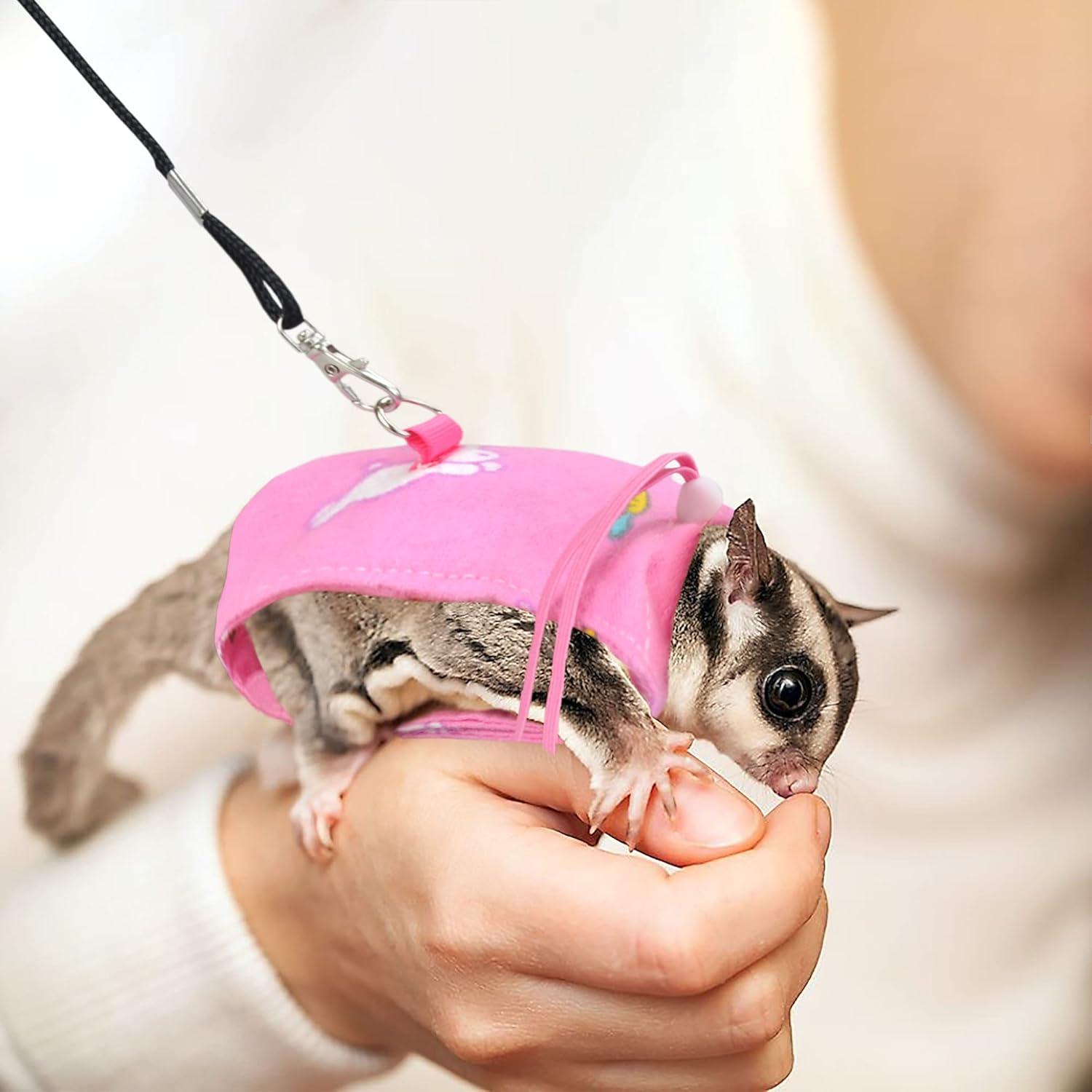 Arnés y Correa Ajustable para Sugar Glider Vomvomp 170 cm