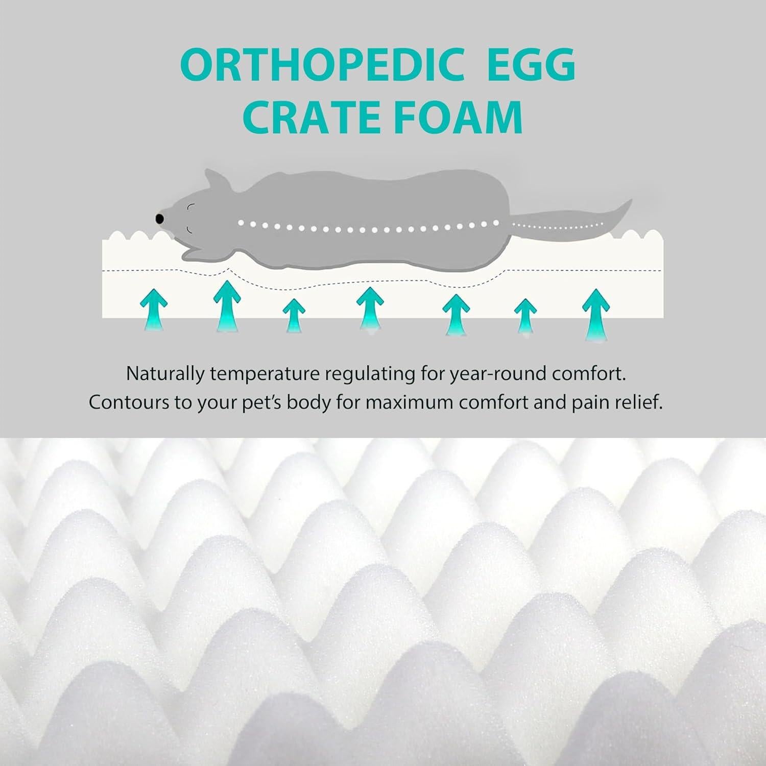 Cama para Perros Grande Chicute Impermeable Ortopédica 88.9x55.9cm