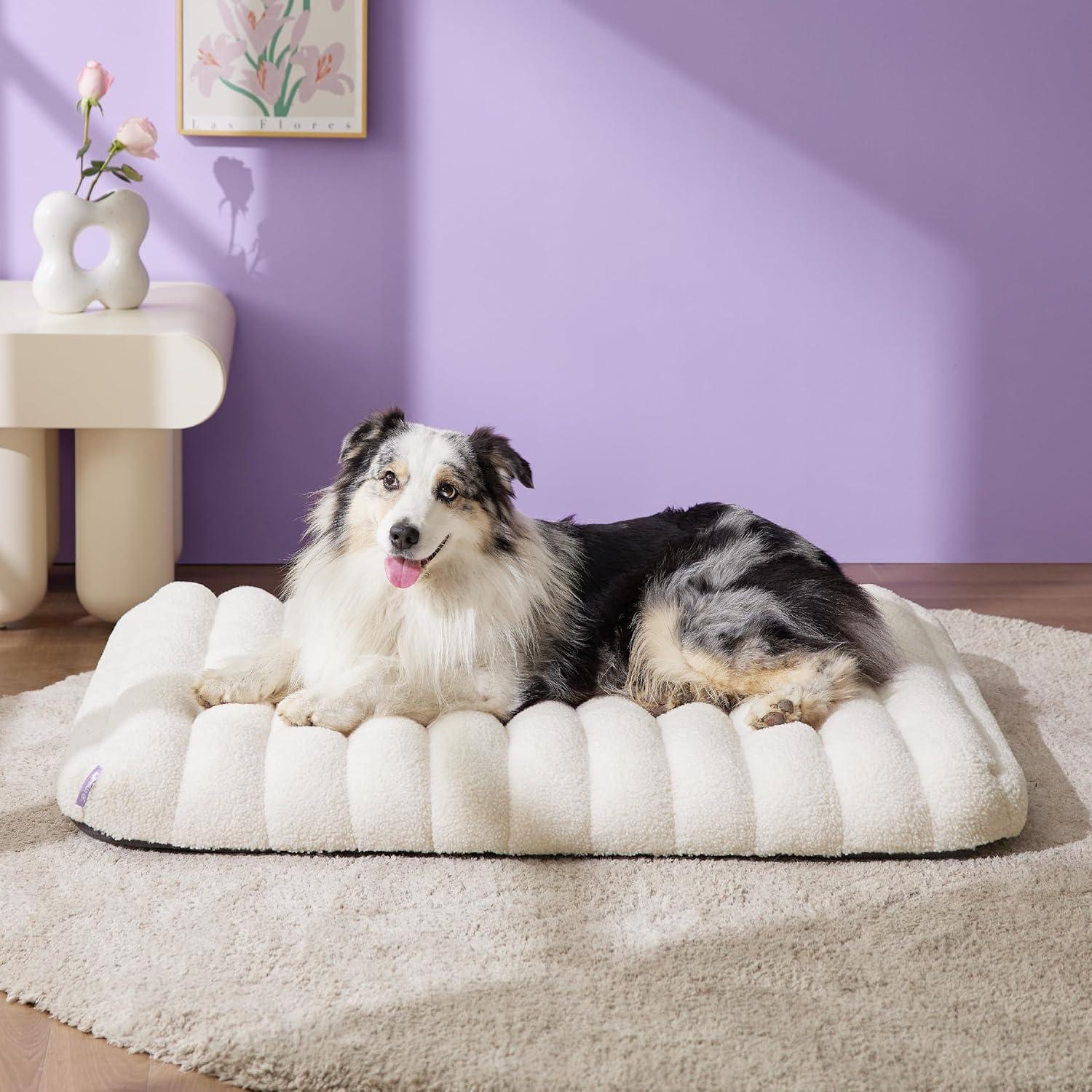 Cama Ortopédica para Perros Grande Lesure Linda 91x68 cm Crema