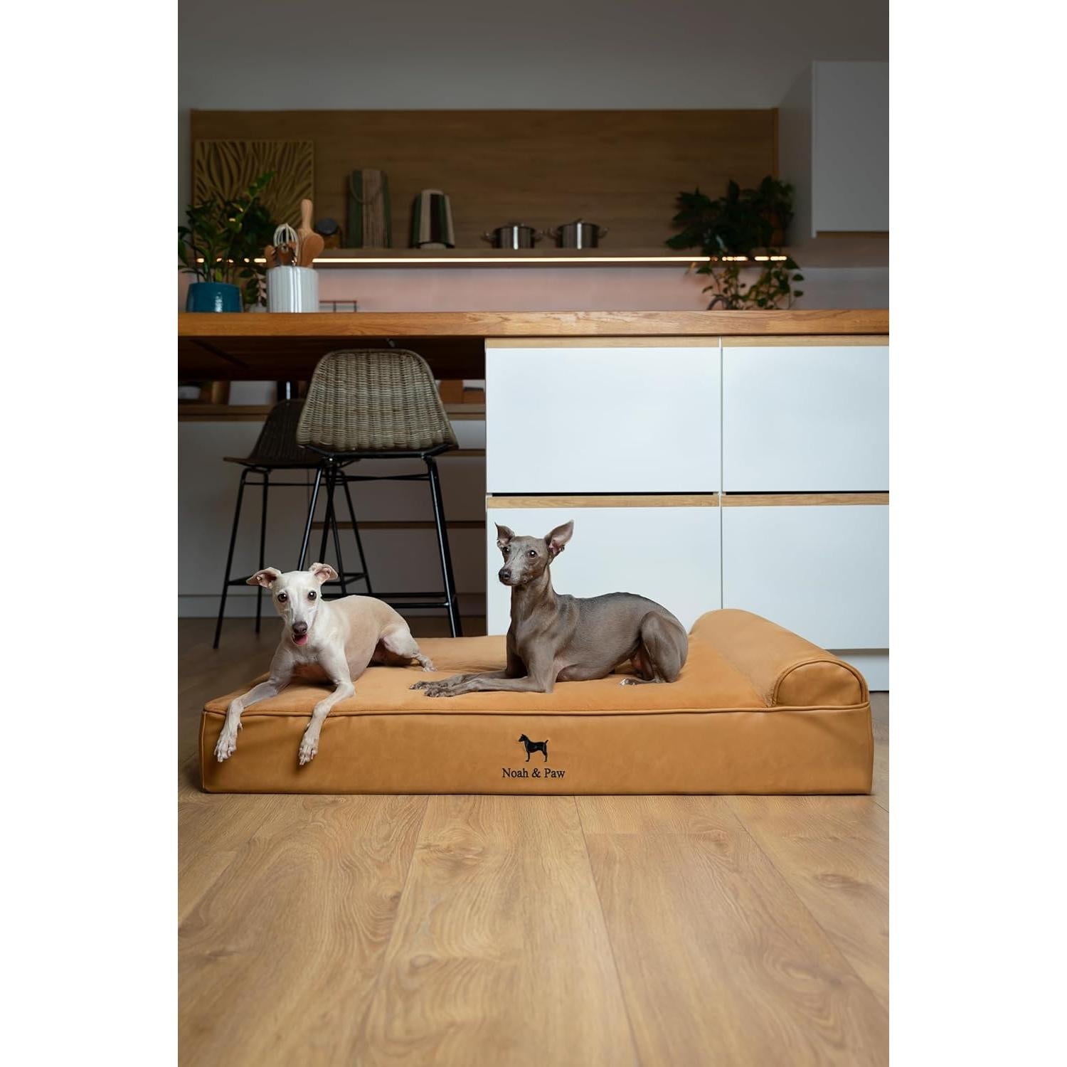 Cama Ortopédica para Perros Grande NOAH & PAW 89x64 cm