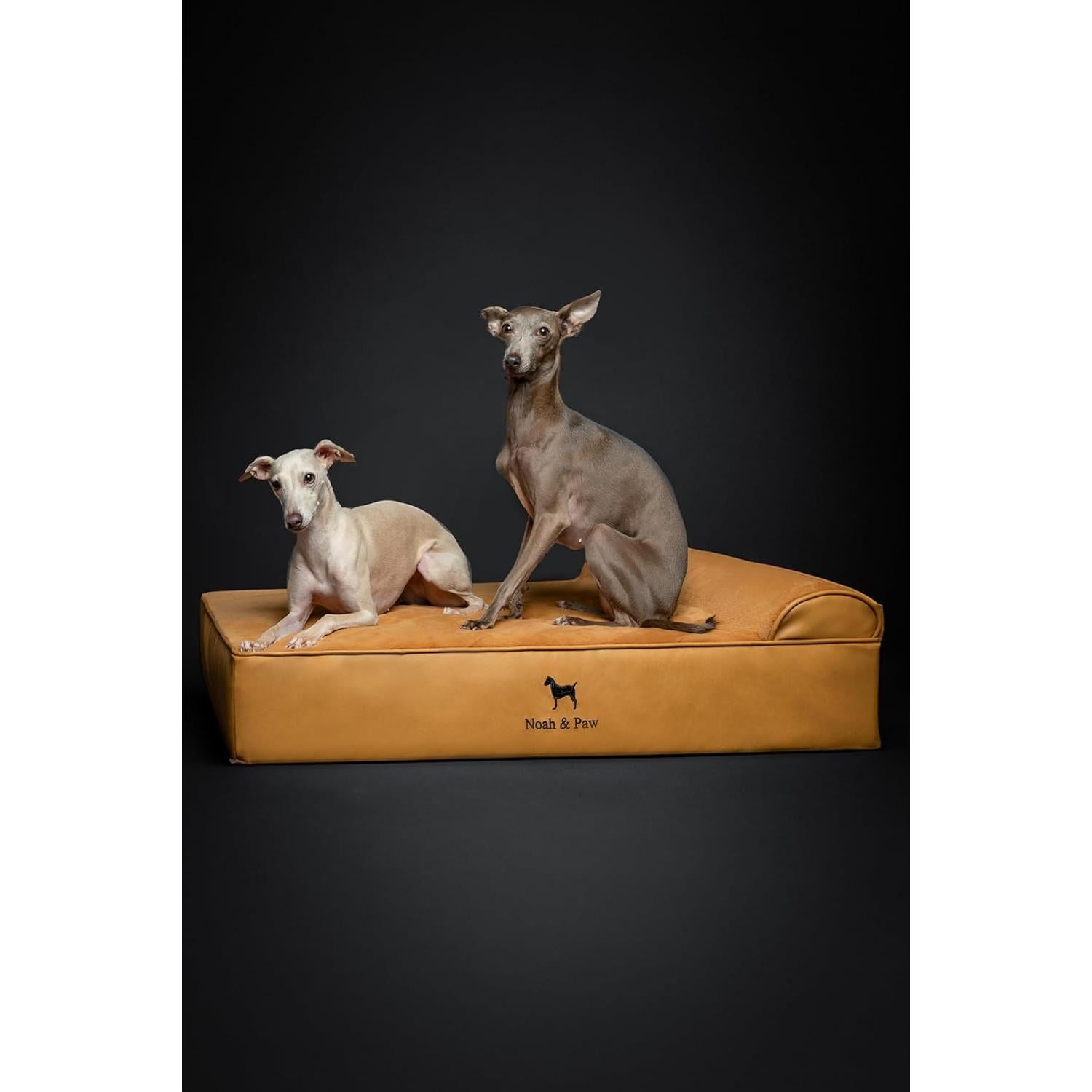 Cama Ortopédica para Perros Grande NOAH & PAW 89x64 cm