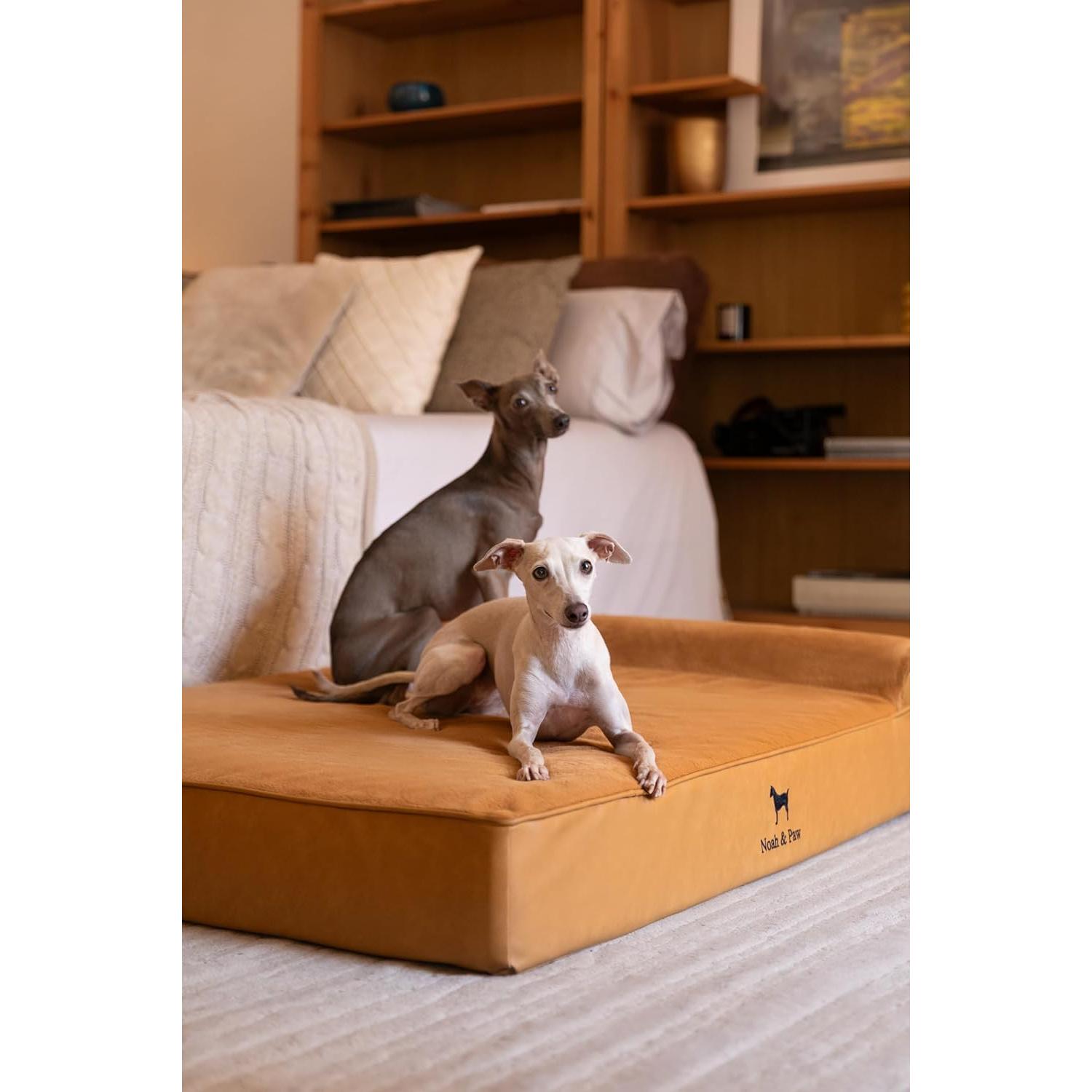 Cama Ortopédica para Perros Grande NOAH & PAW 89x64 cm