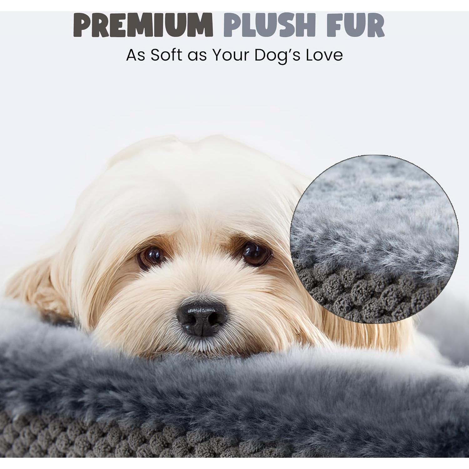 Cama para Perros Miorun S Gris 33x33 cm Ortopédica