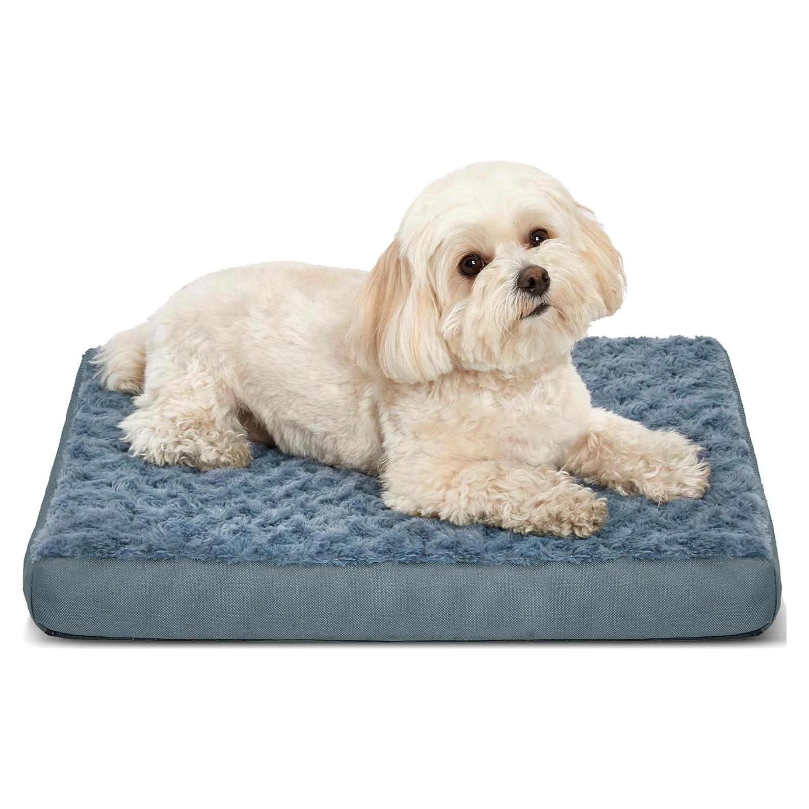 Cama ortopédica para perros Kimpets 50.8x40.6 cm con funda lavable