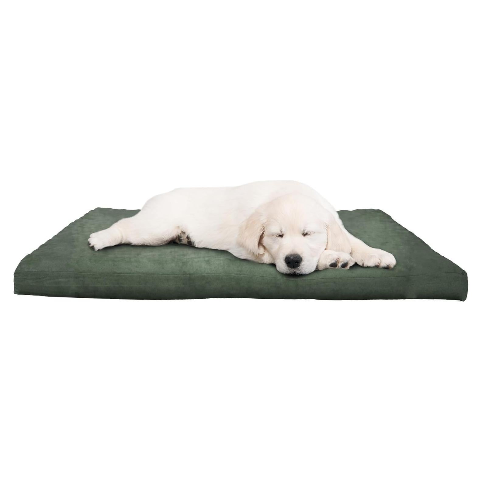 Cama Ortopédica para Perros PETMAKER 64.8x48.3cm Verde