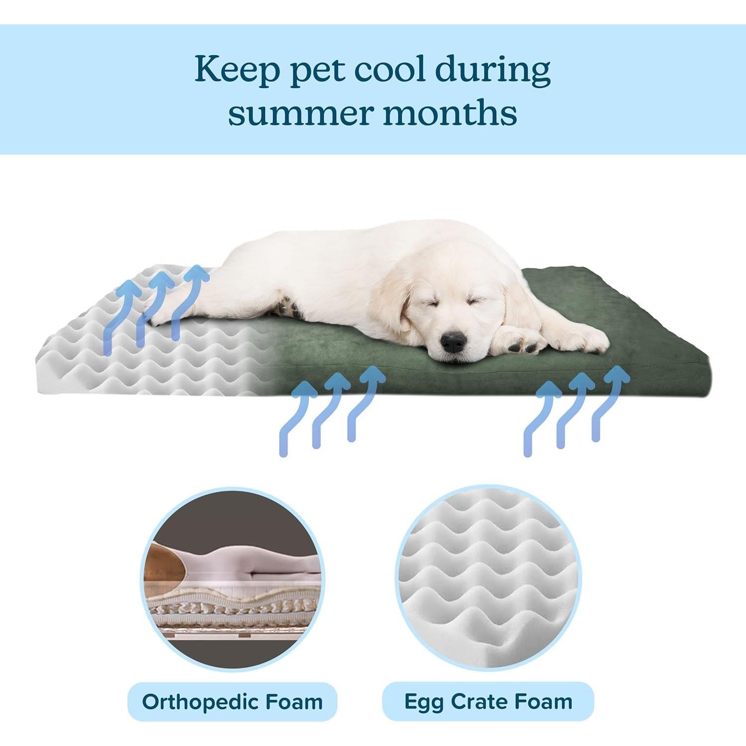 Cama Ortopédica para Perros PETMAKER 64.8x48.3cm Verde