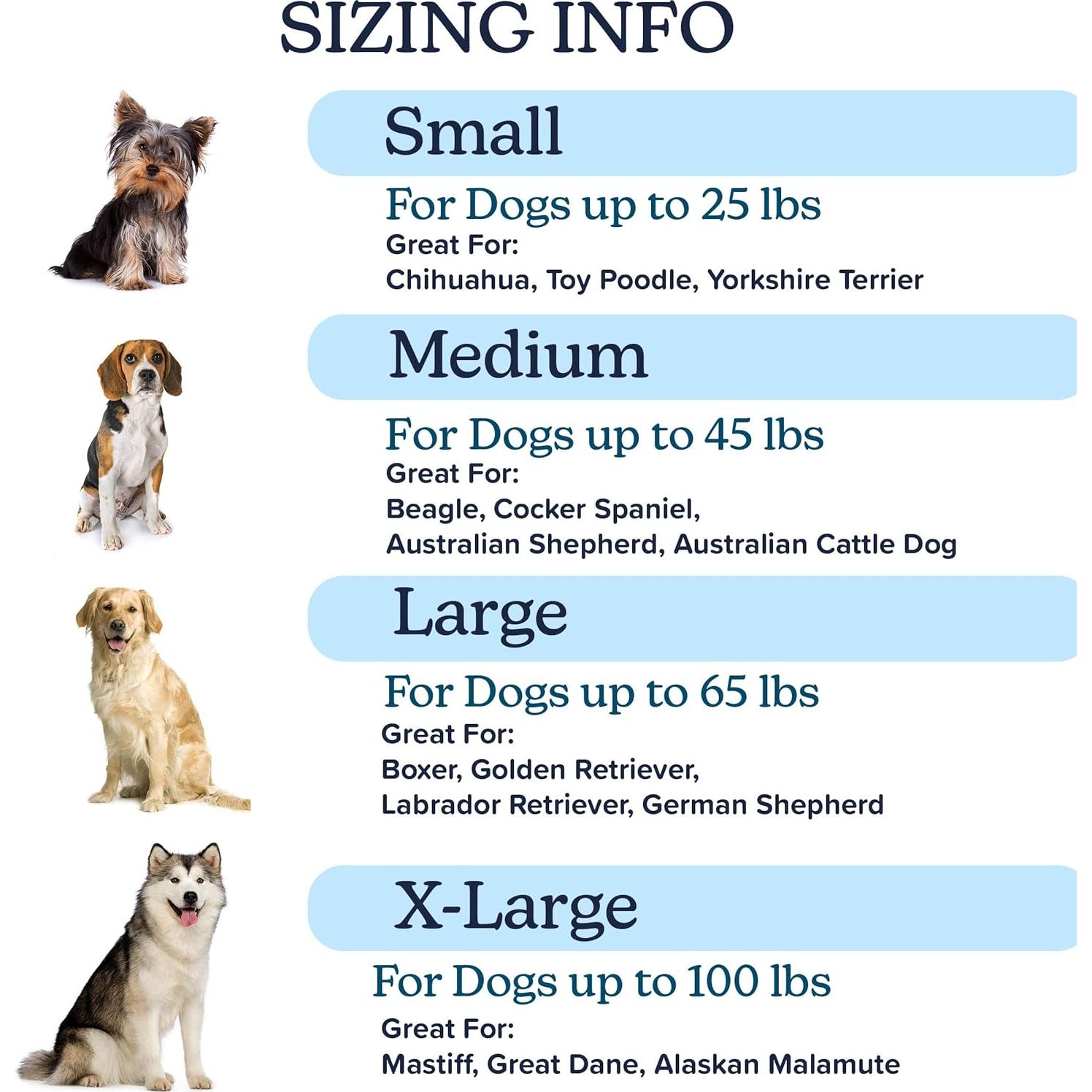 Cama Ortopédica para Perros PETMAKER 64.8x48.3cm Verde