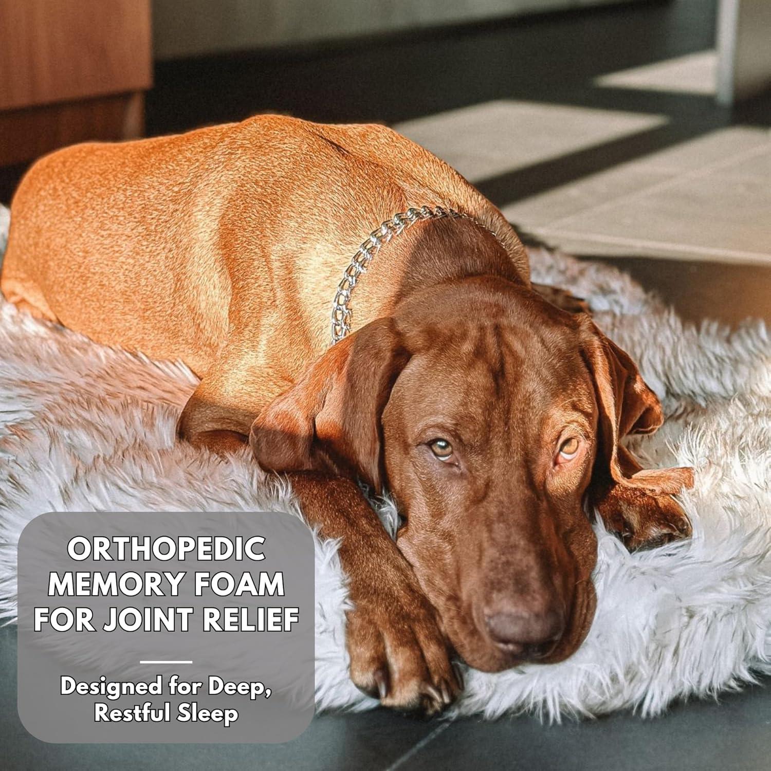 Cama ortopédica de lujo iHappyDog 127x76cm para perros grandes