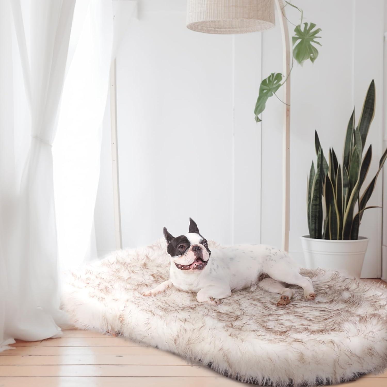 Cama Ortopédica para Perros Laifug de Espuma de Memoria 5"