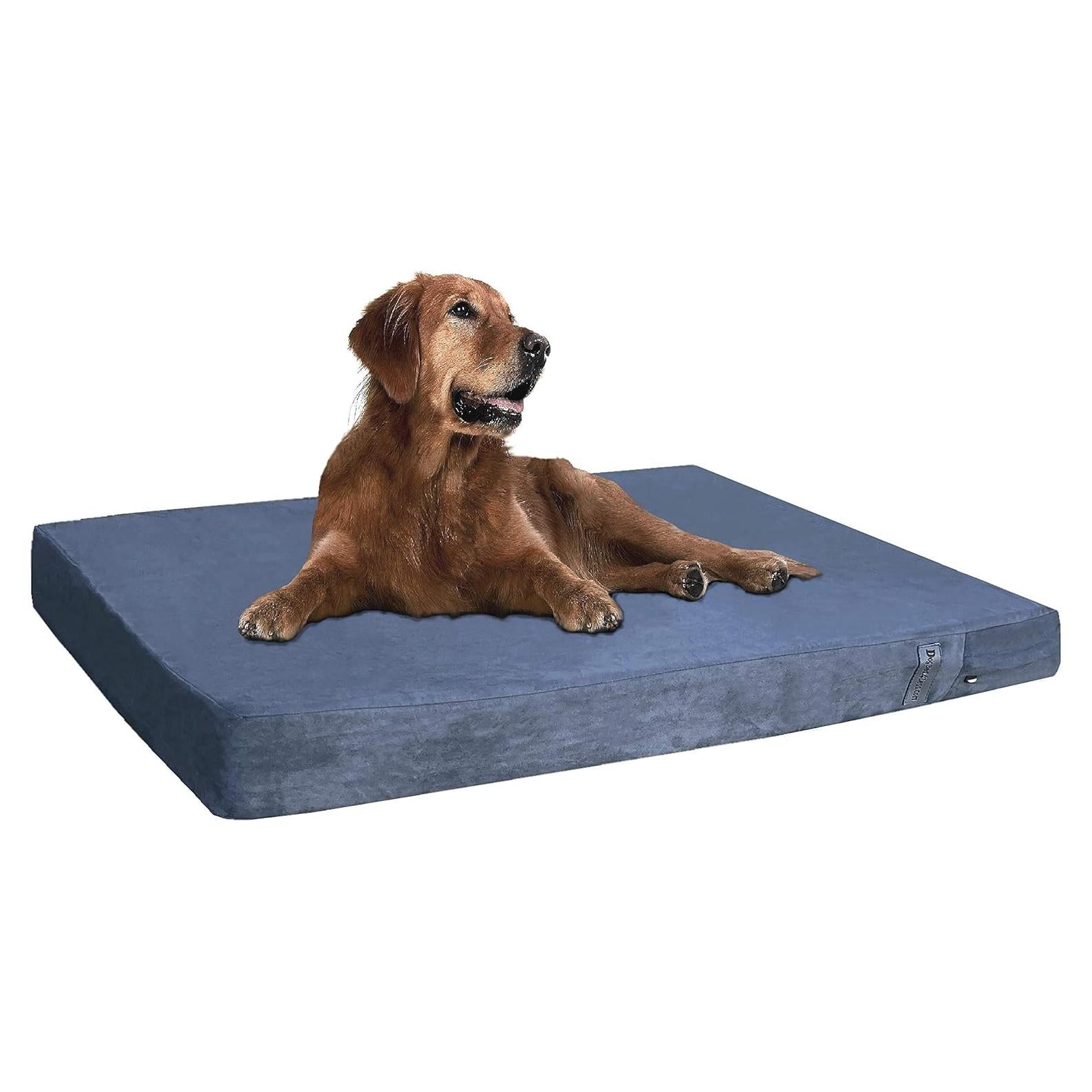 Cama ortopédica para perros Dogbed4less 119x73cm con gel