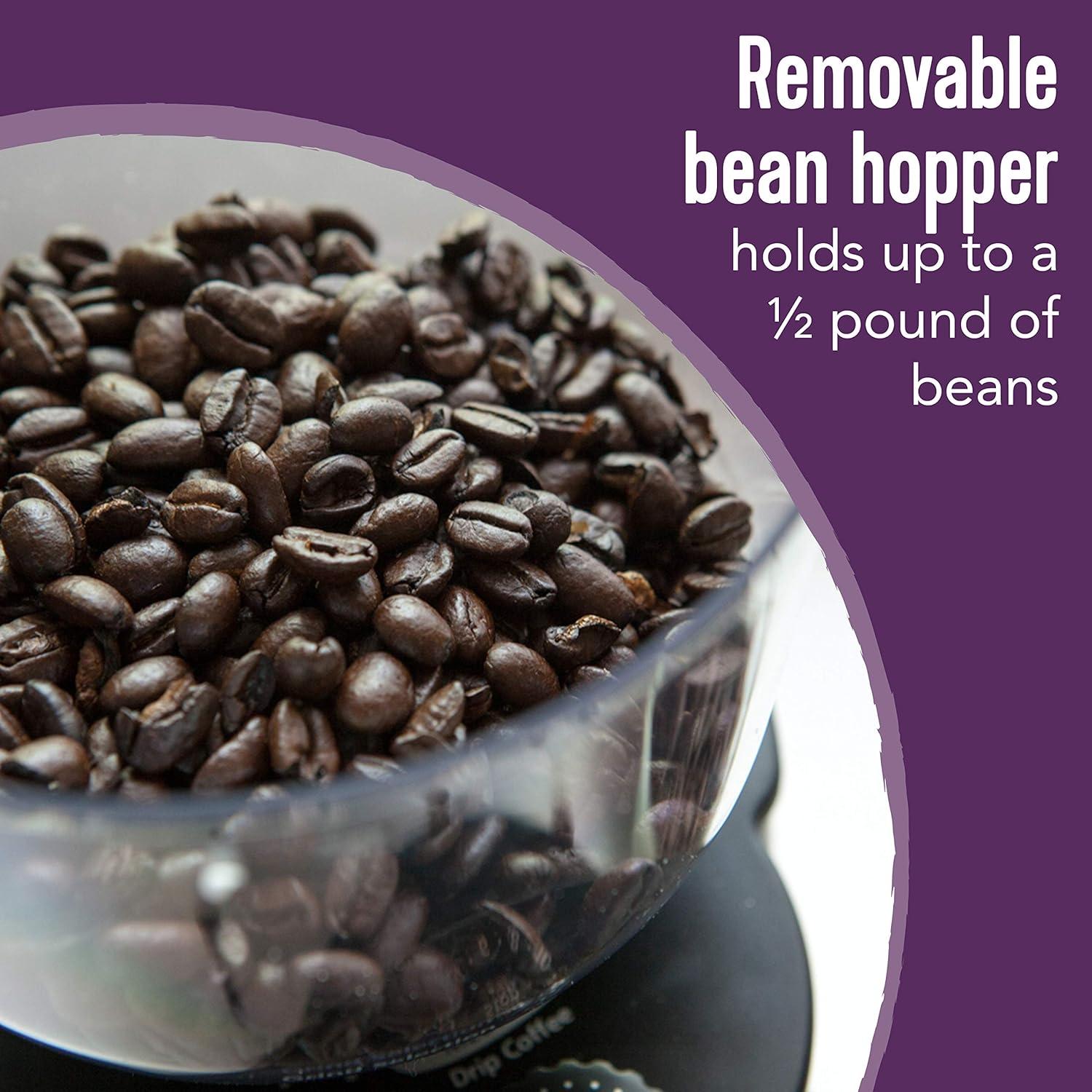 Molinillo Automático de Muela Mr. Coffee 18 Velocidades Plata