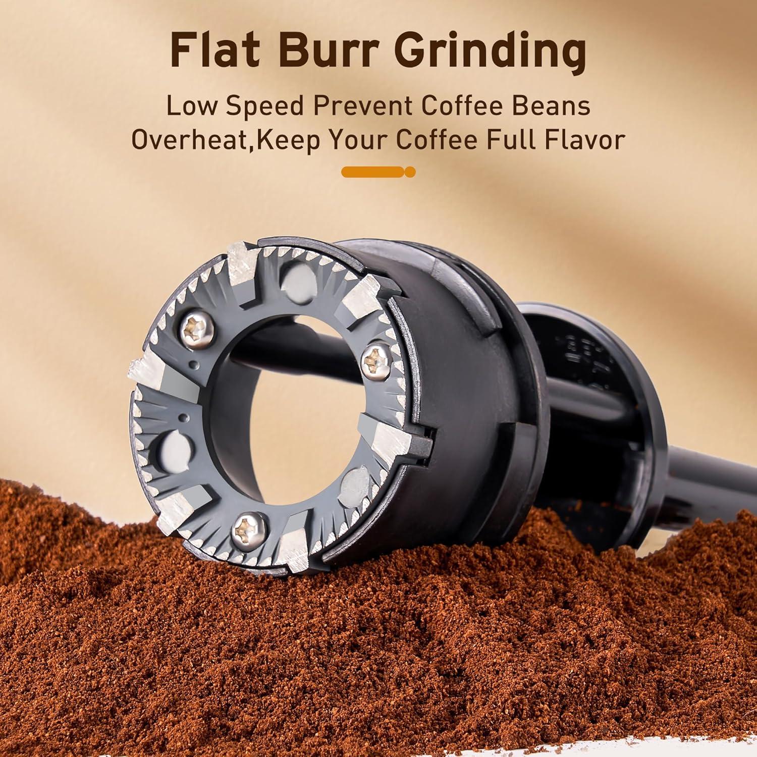 Molino de café eléctrico Ollygrin 2-12 tazas acero inoxidable