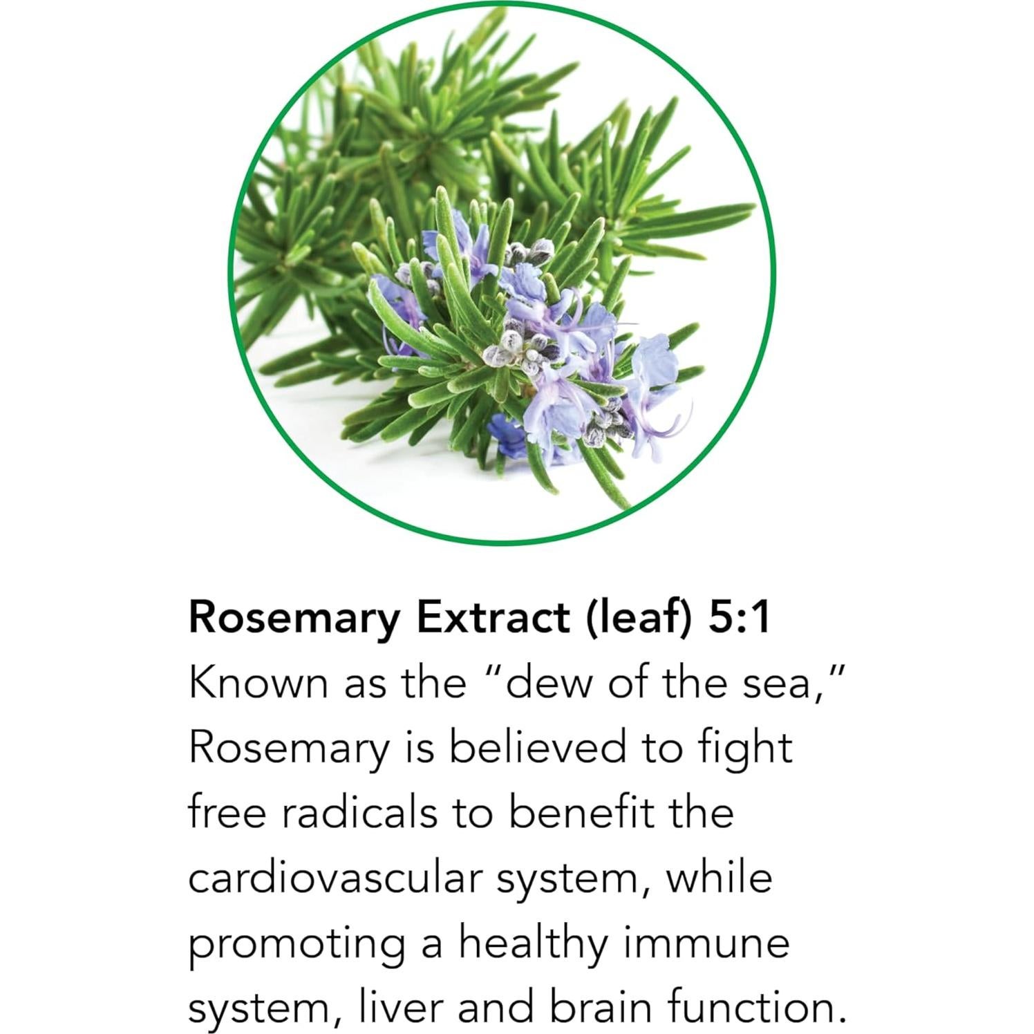 Extracto Líquido de Hoja de Romero Botanic Choice 29.57 ml