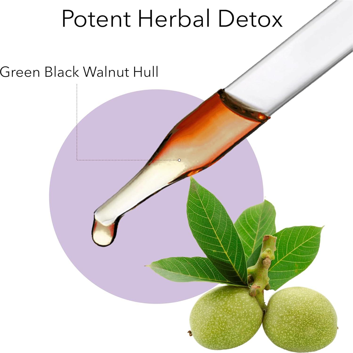 Kroeger Herb Ajenjo y Nogal Negro Detox - 1 Paquete de 1