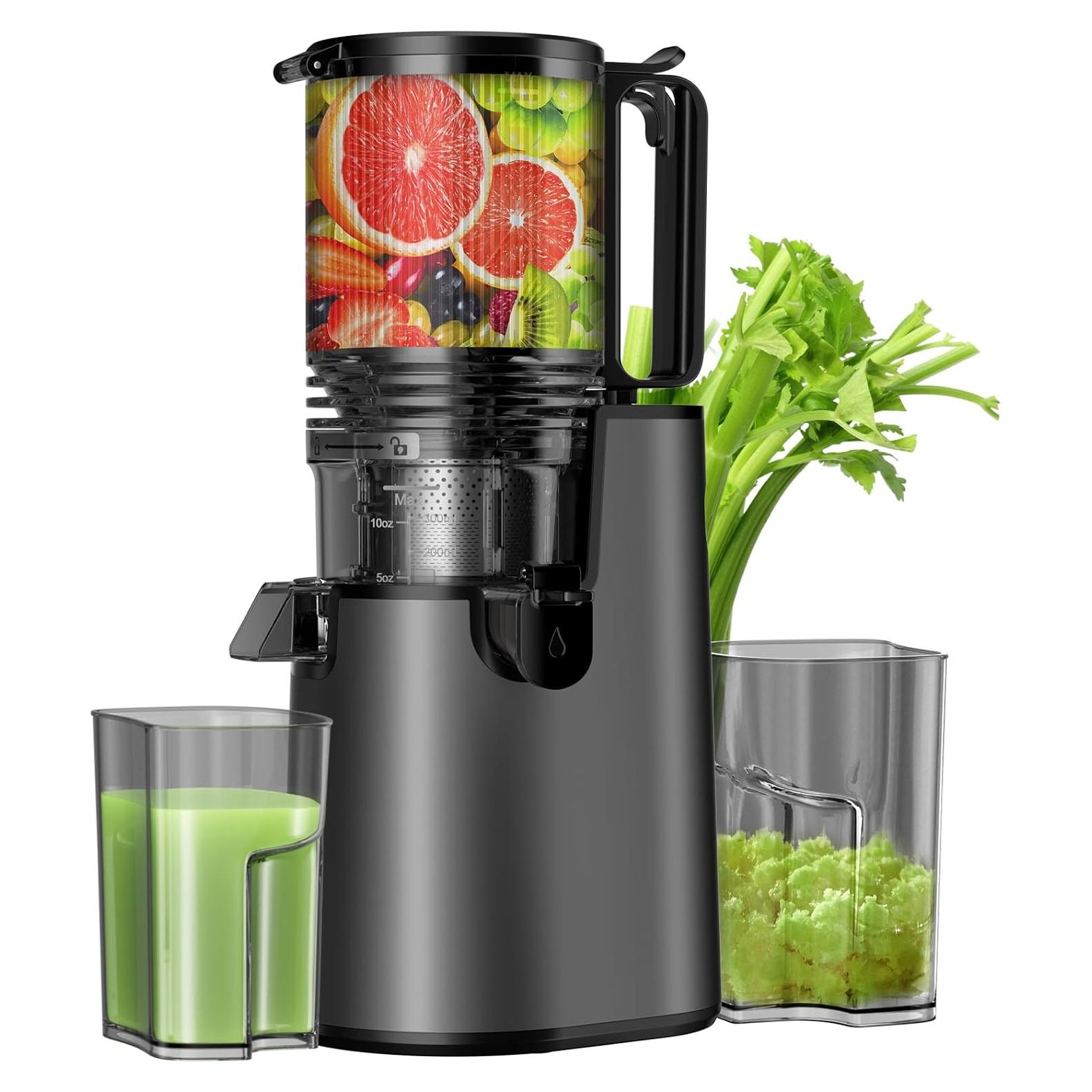 Extractor de Jugo Masticador LQZ YZJ-Y 350W Fácil de Limpiar