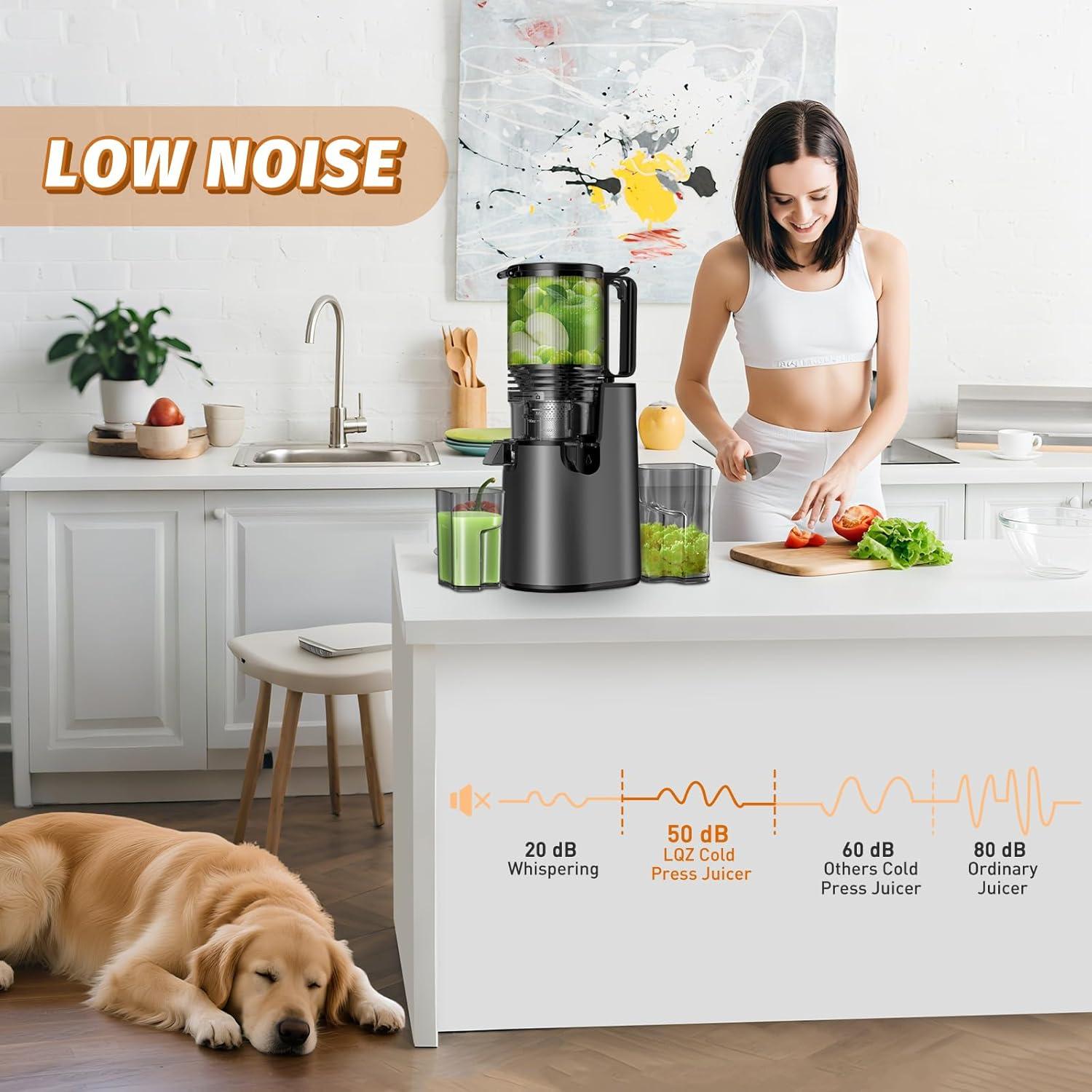 Extractor de Jugo Masticador LQZ YZJ-Y 350W Fácil de Limpiar