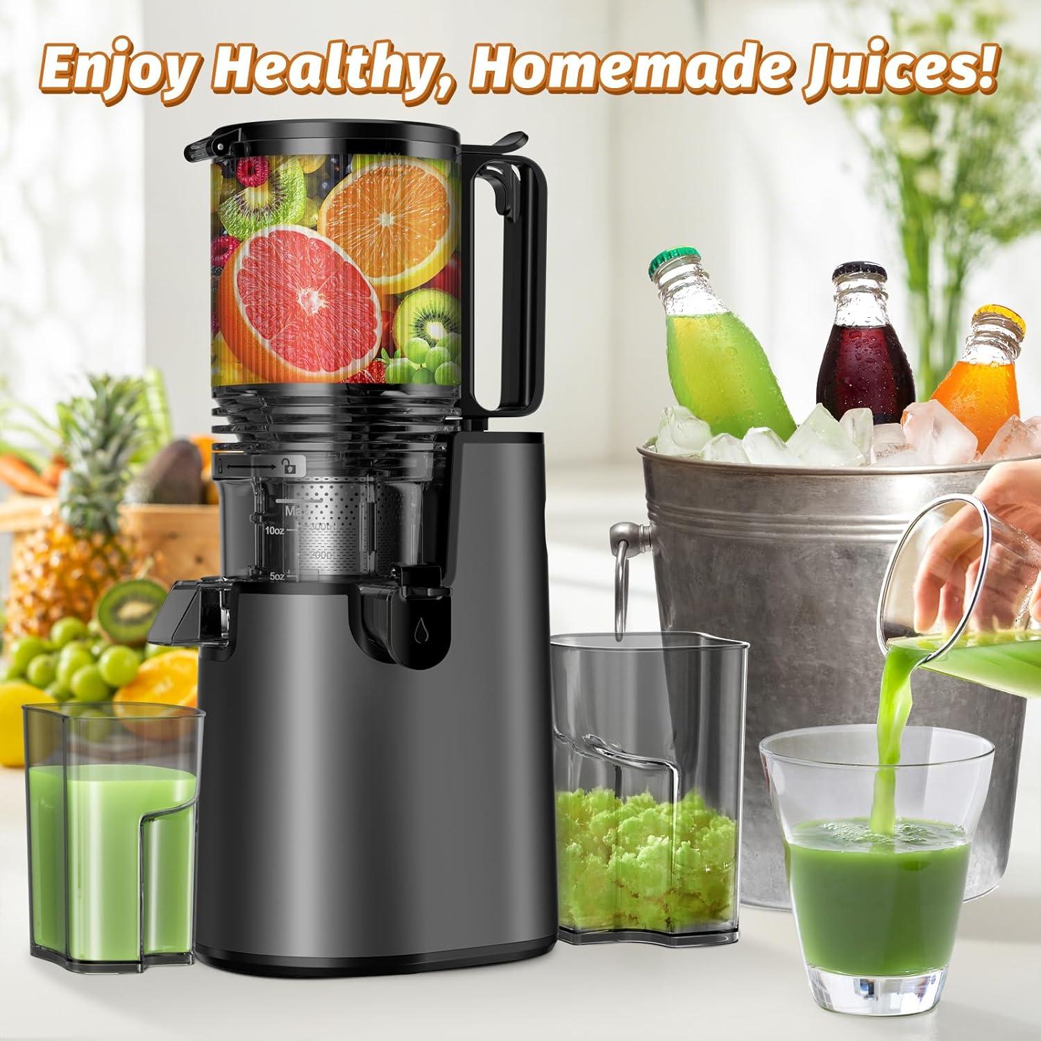 Extractor de Jugo Masticador LQZ YZJ-Y 350W Fácil de Limpiar