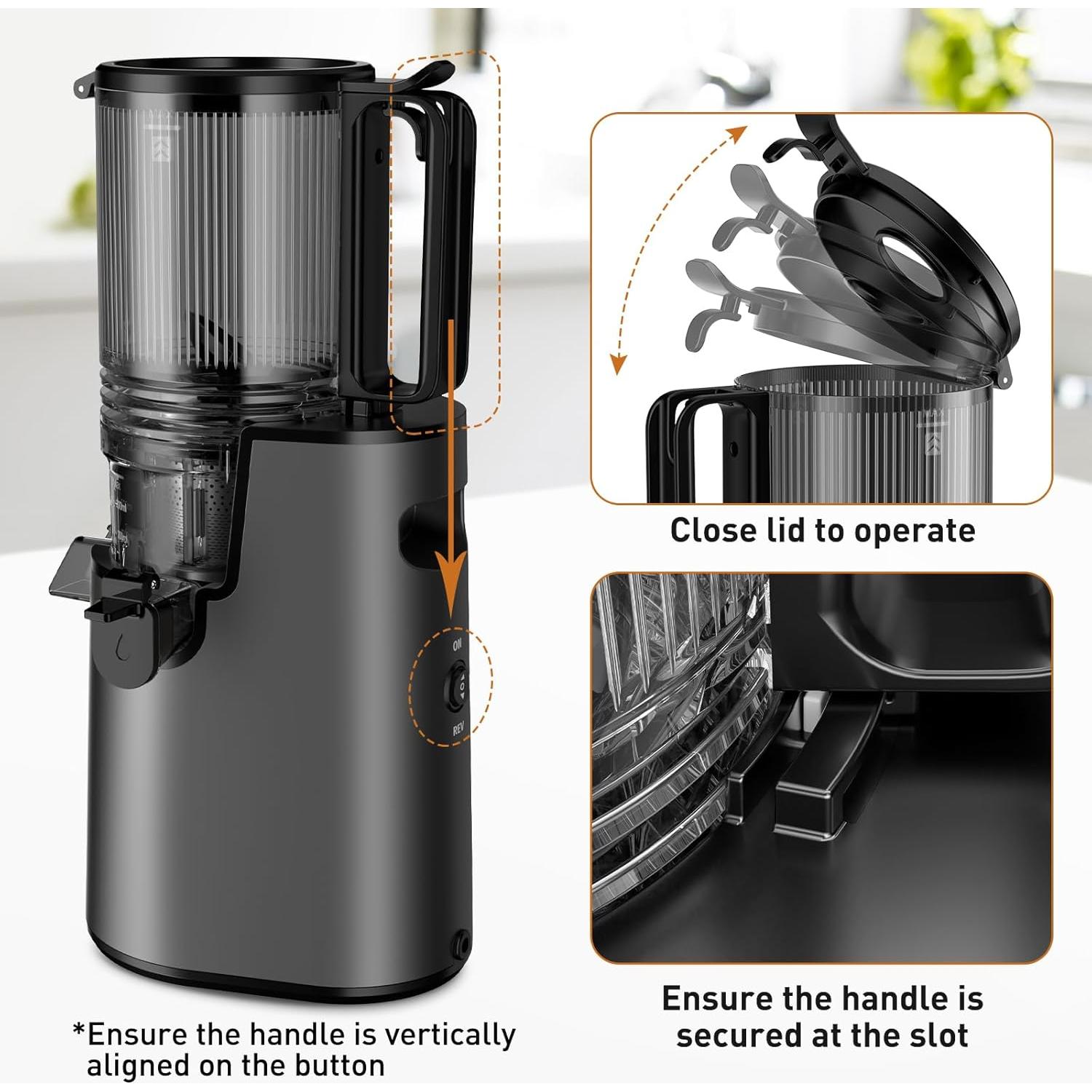 Extractor de Jugo Masticador LQZ YZJ-Y 350W Fácil de Limpiar