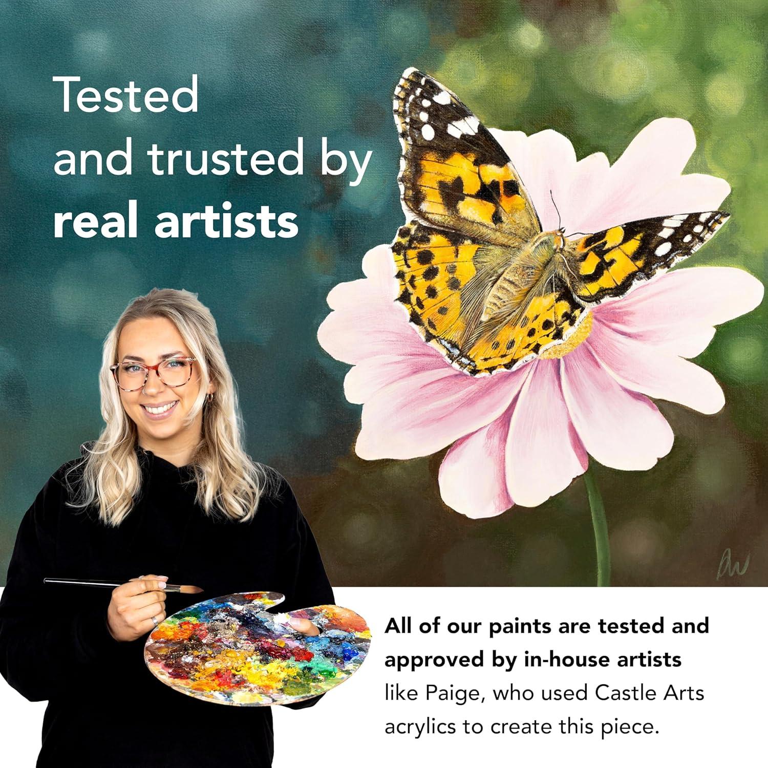 Juego de Pintura Acrílica Castle Art Supplies 48 x 22 ml