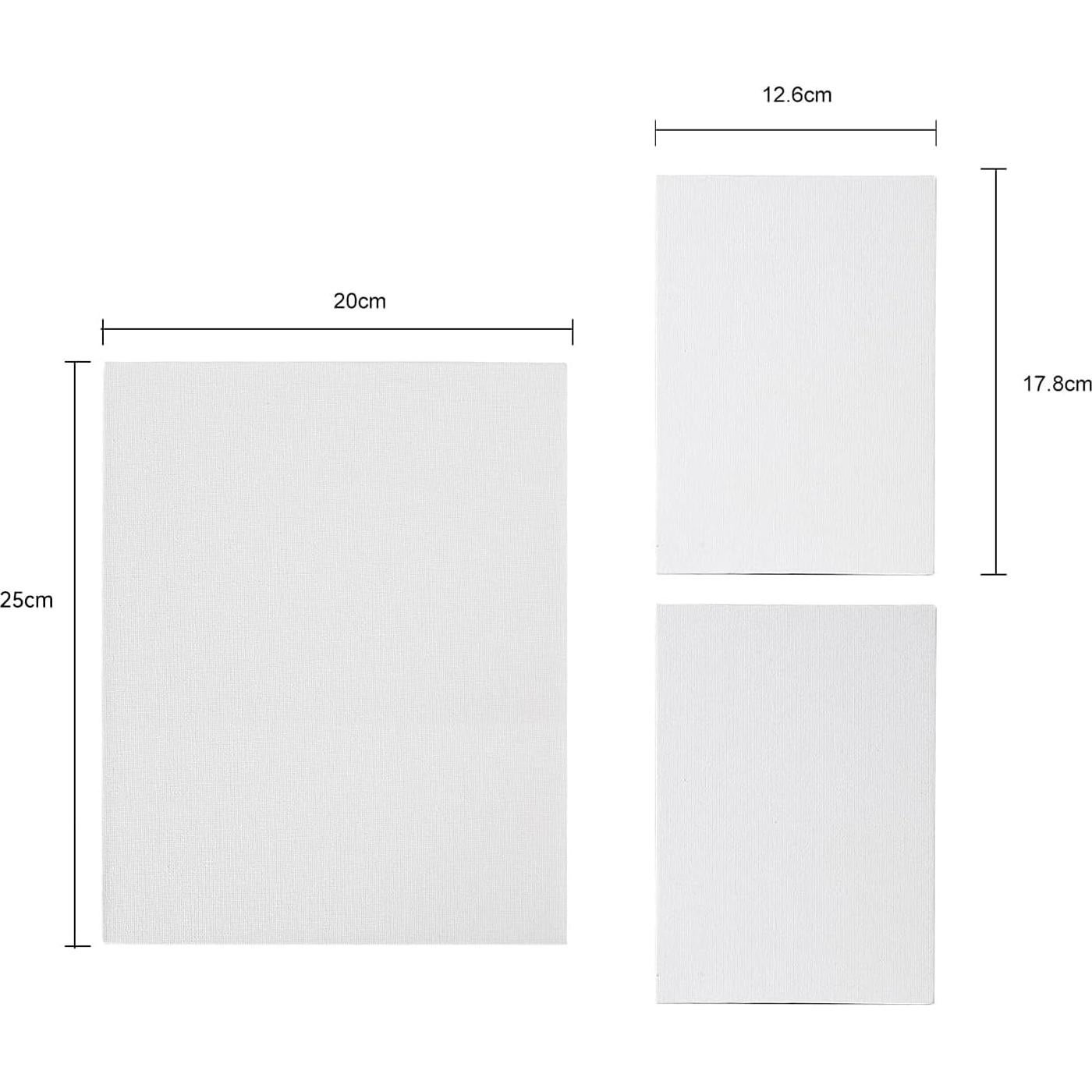 Set de Pintura Acrílica GC QUILL 54 Piezas con Lienzos y Pinceles