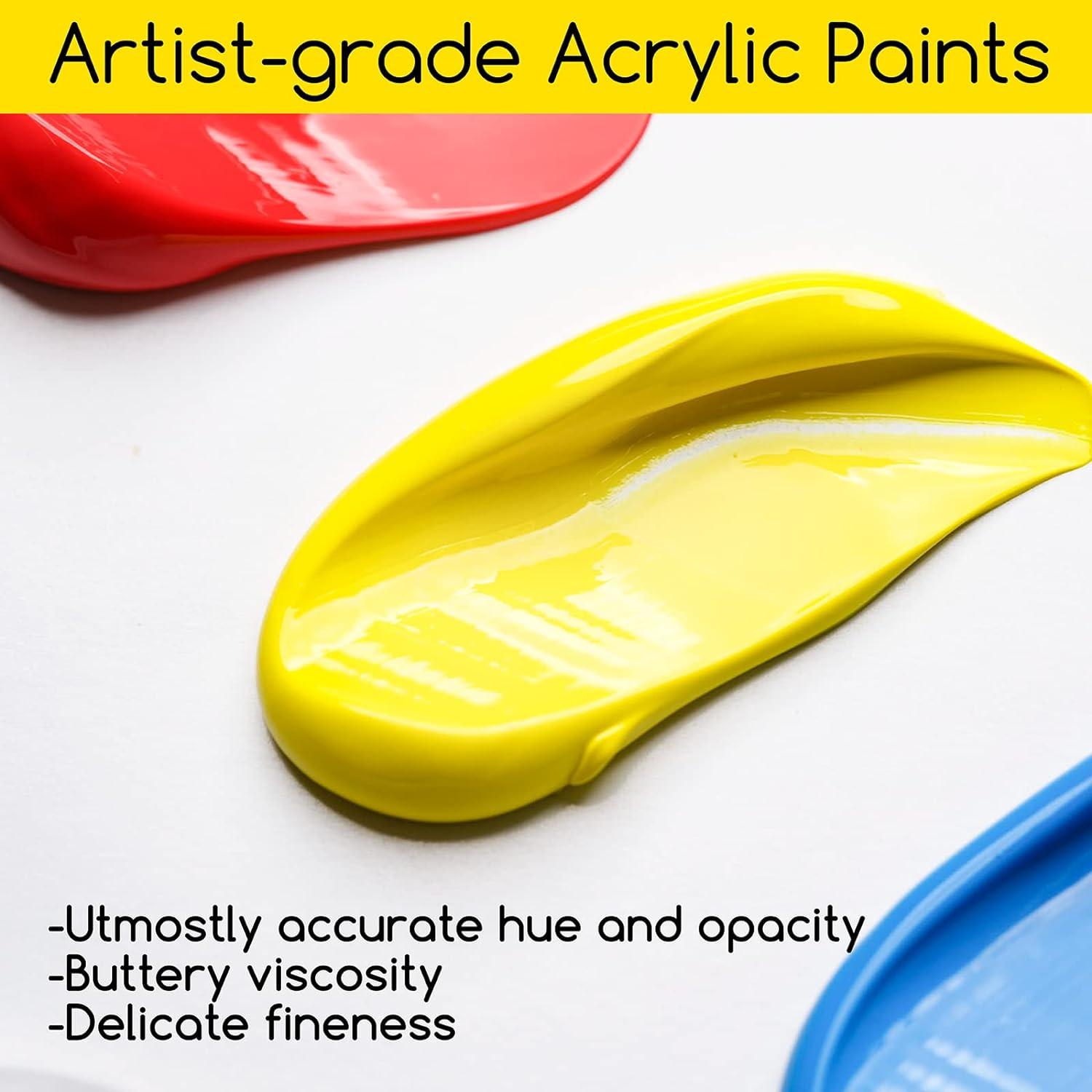 Juego de Pintura Acrílica MEEDEN Artista 9 Tubos 60ml