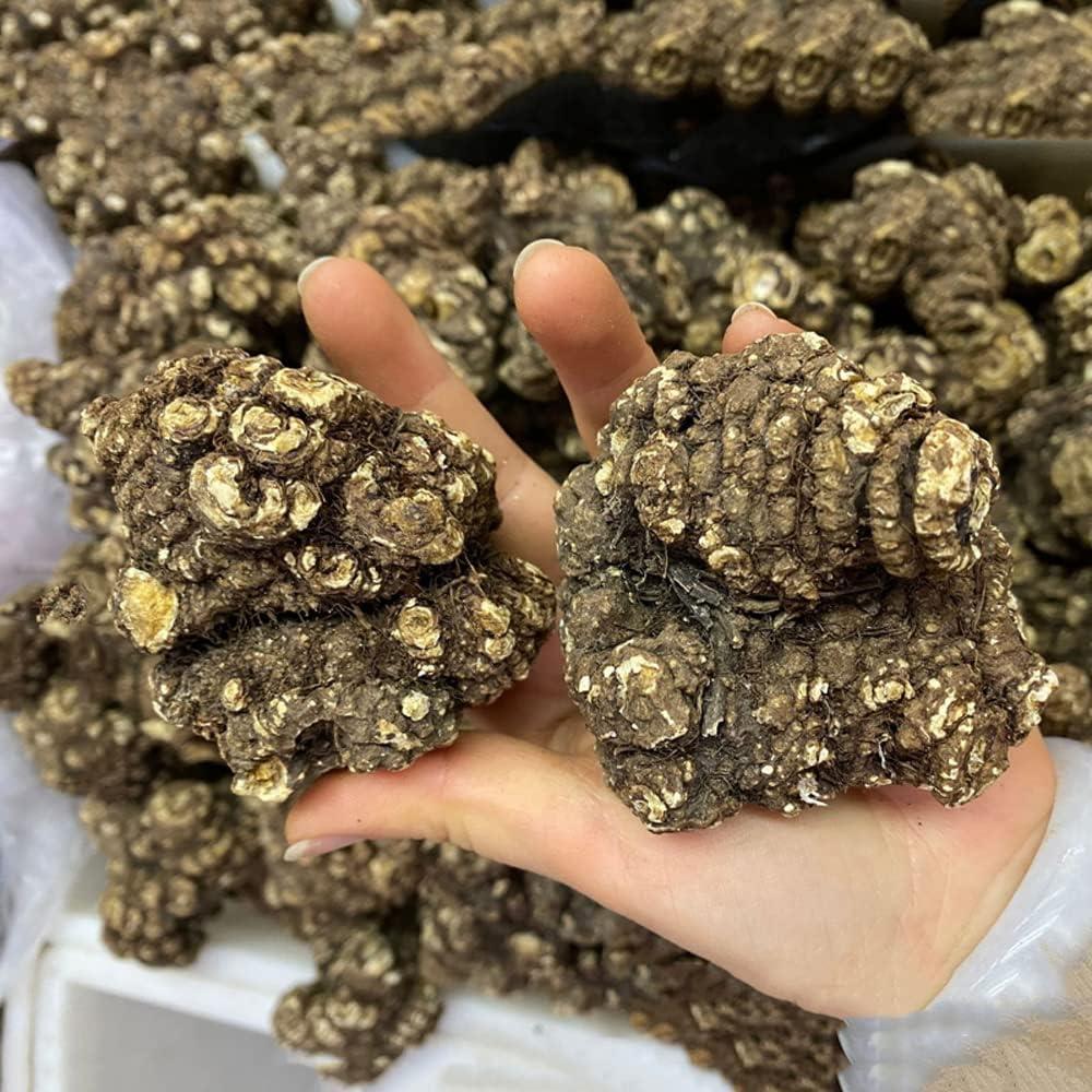 Rizoma Chuanxiong 250g - Ligusticum Chuanxiong - Medicina China