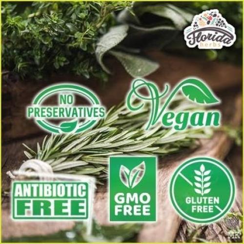 Tintura de Angélica Orgánica Florida Herbs 60 ml Suplemento Herbal