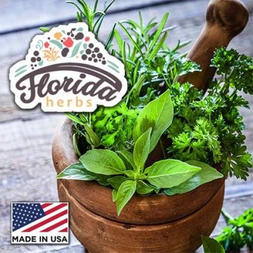 Tintura de Angélica Orgánica Florida Herbs 60 ml Suplemento Herbal