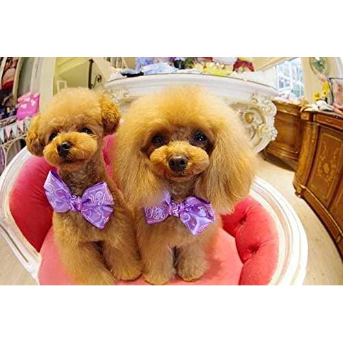 Lente Fisheye Pentax HD DA 10-17mm F3.5-4.5 para DSLR