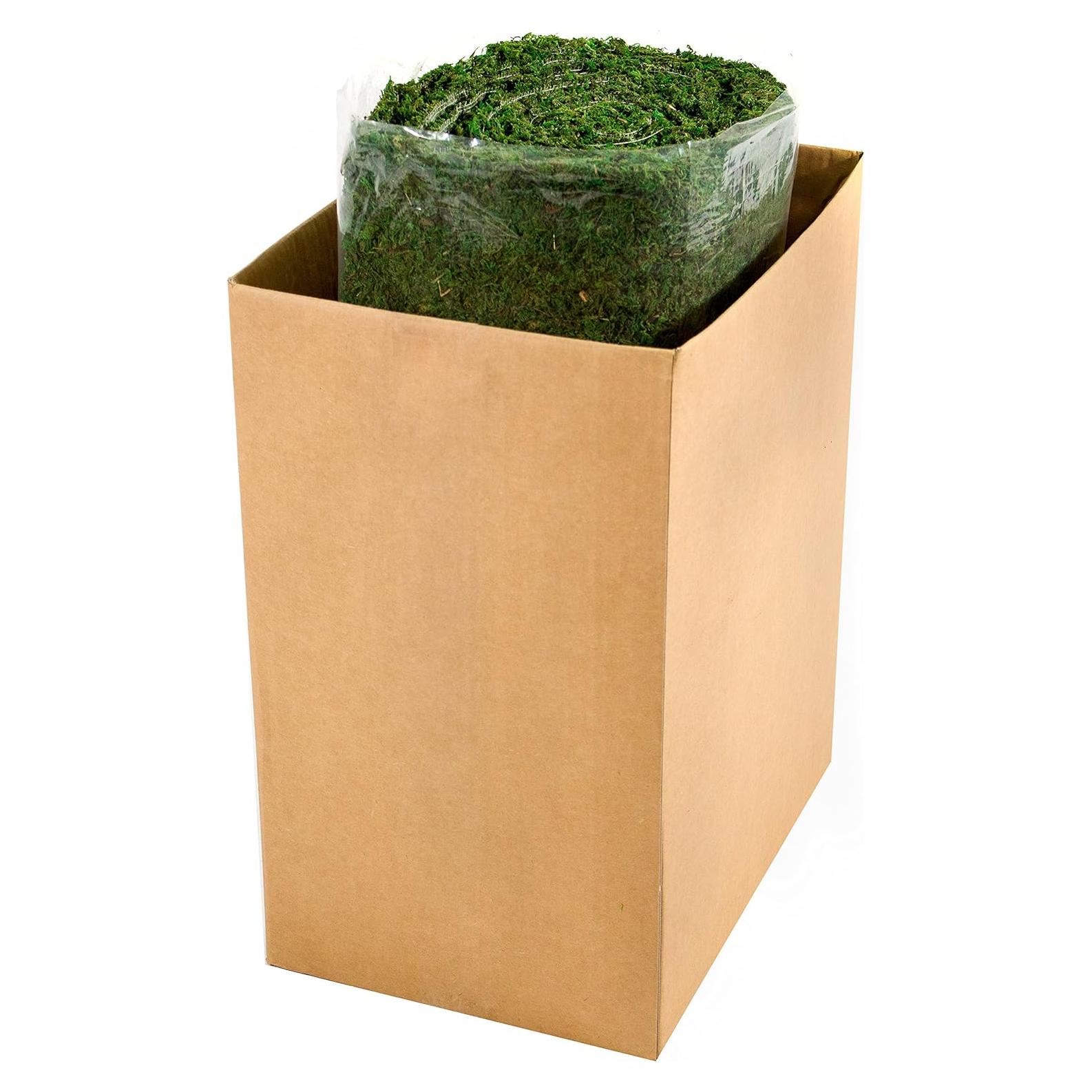 Alfombra de Musgo Verde Instantáneo SuperMoss 0.46x7.32m